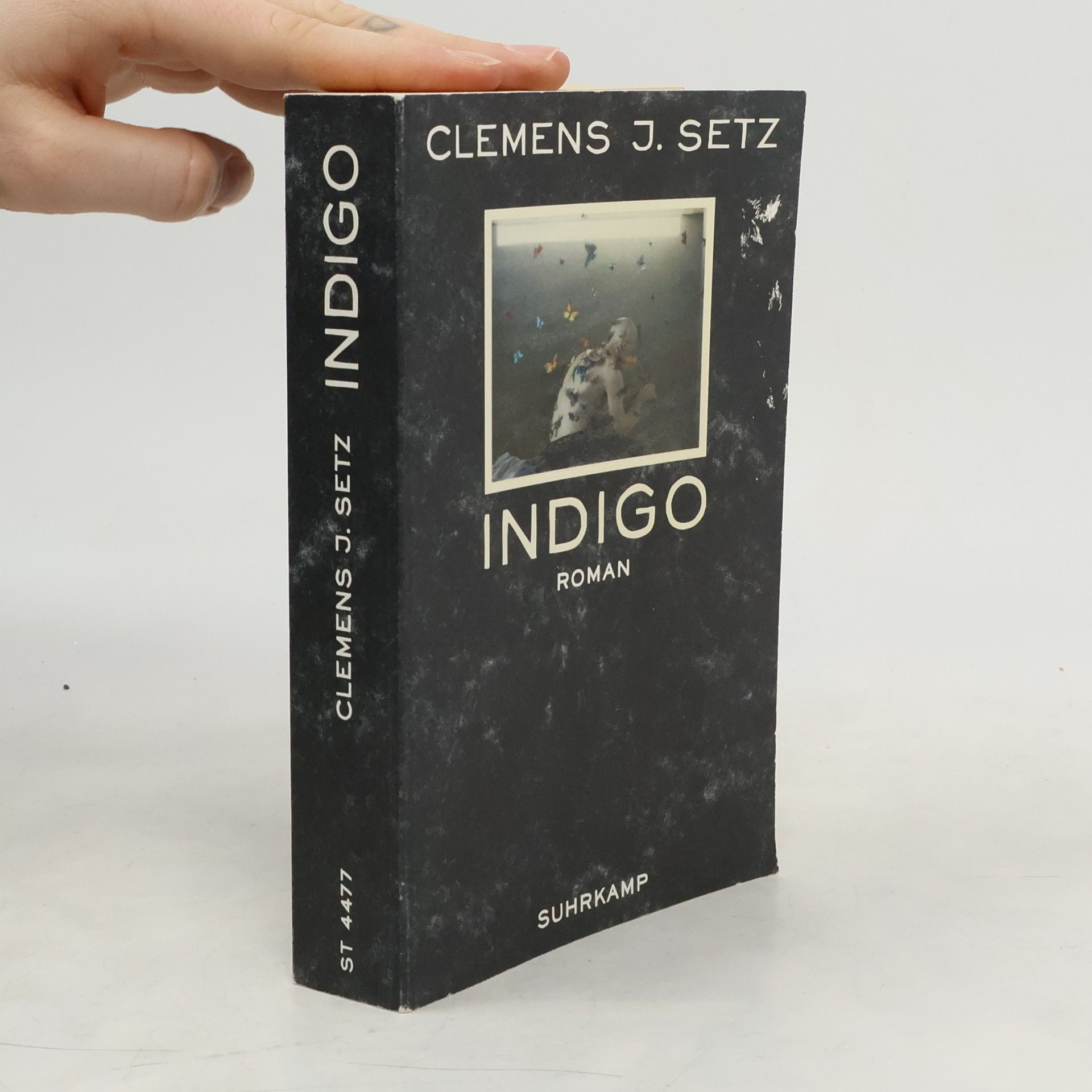 Clemens J. Setz Indigo