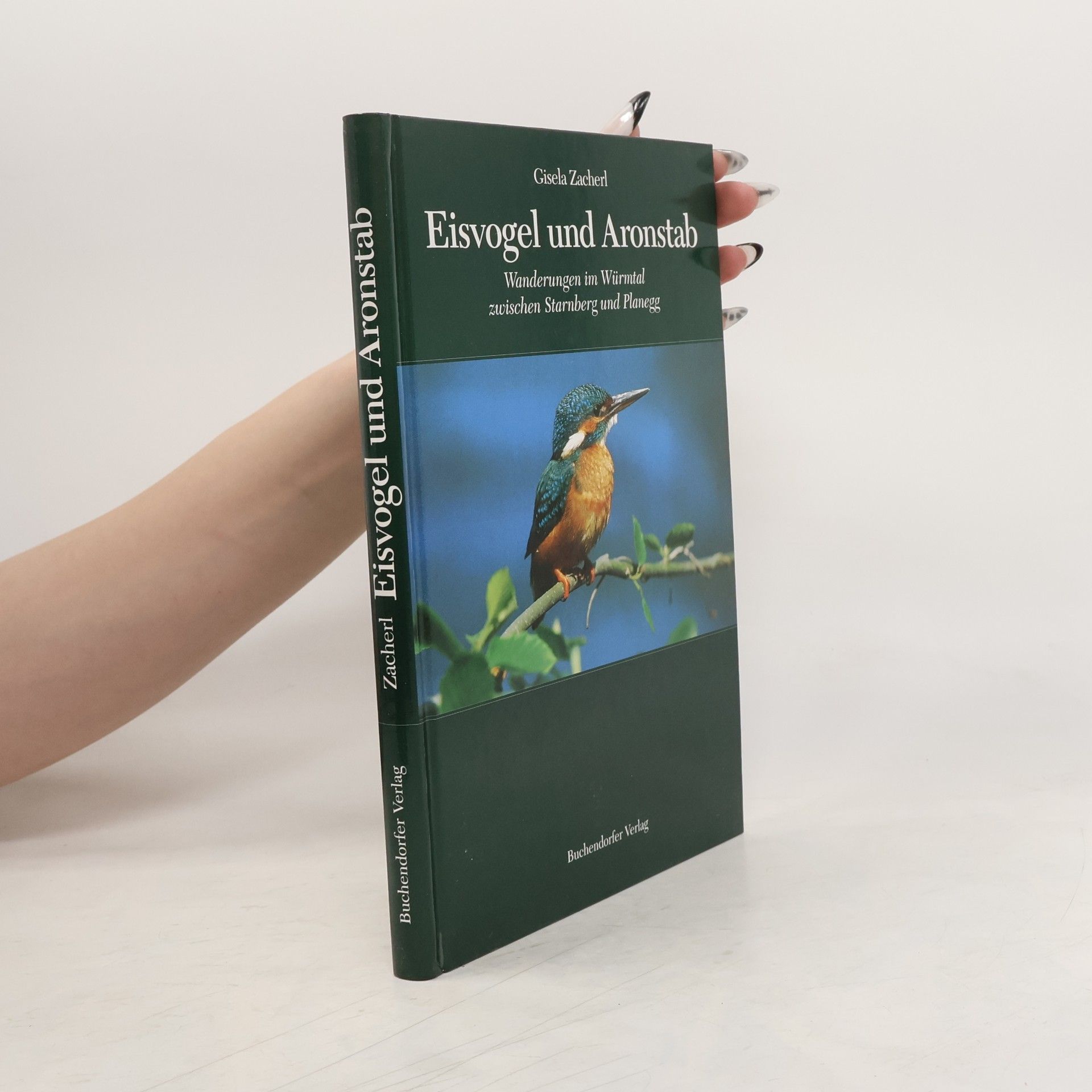 Gisela Zacherl Eisvogel und Aronstab