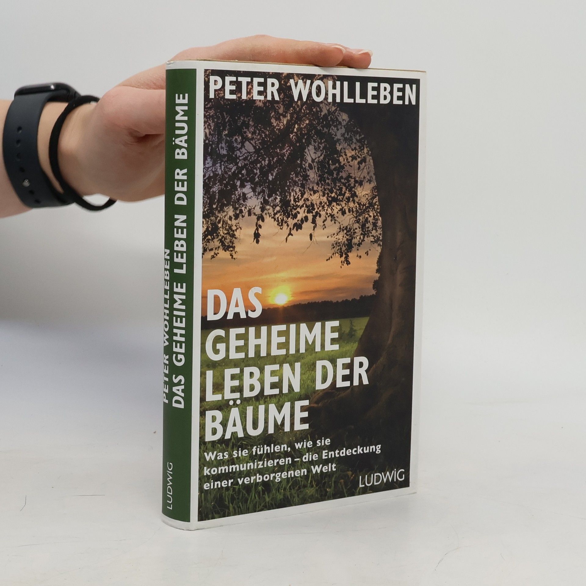 Das geheime Leben der Bäume