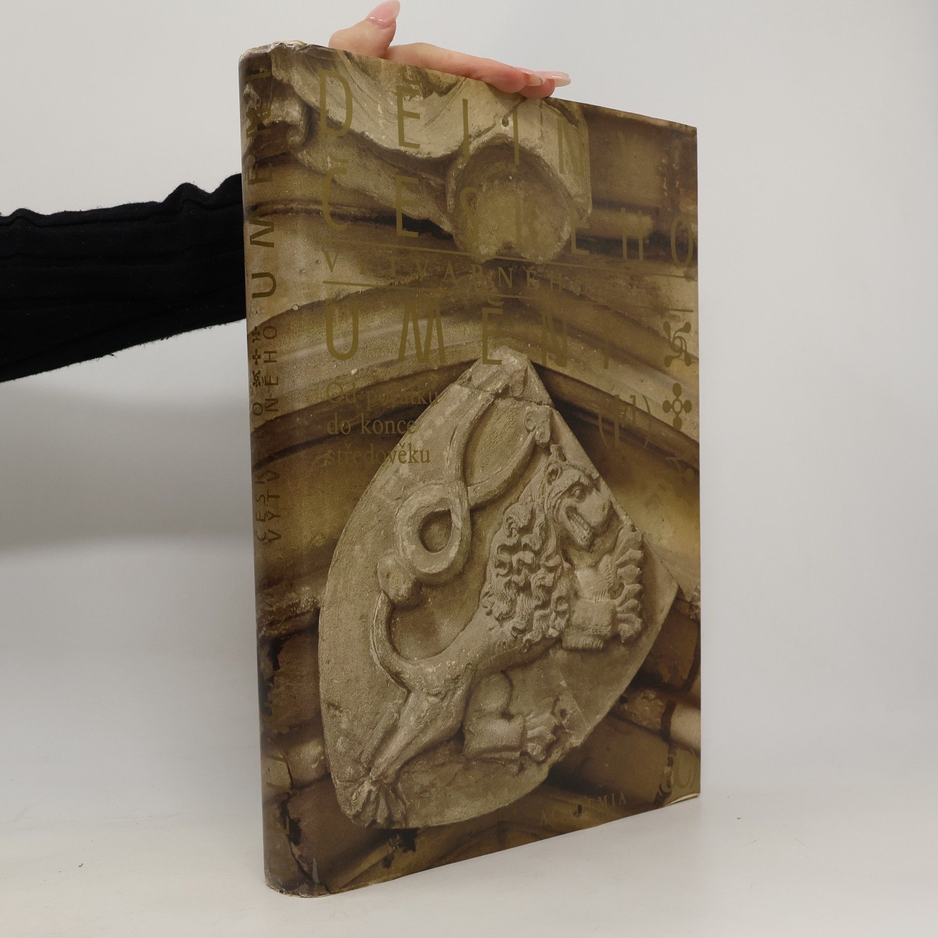 Kolektiv autorů Dějiny českého výtvarného umění I/1