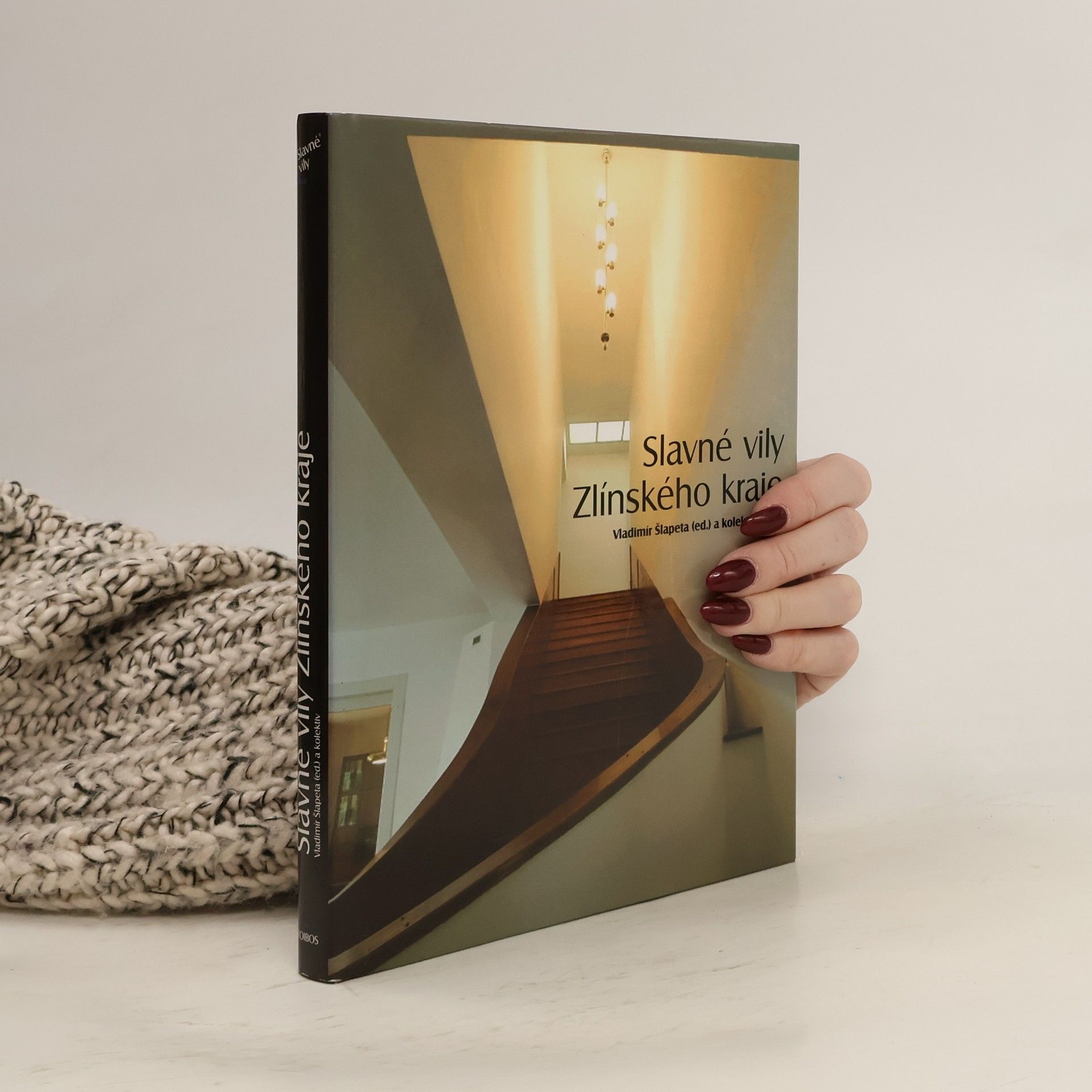 Vladimír Šlapeta Slavné vily Zlínského kraje