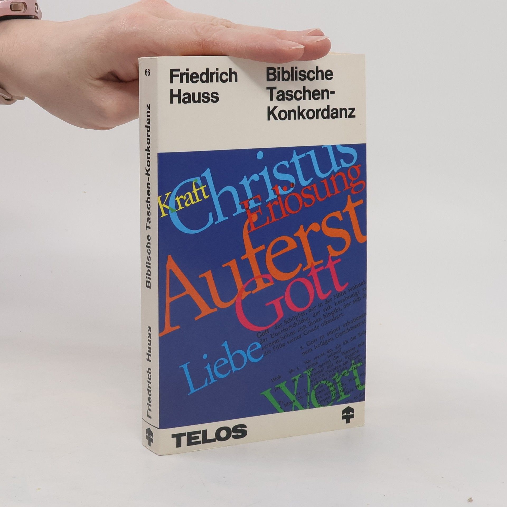 Biblische Taschenkonkordanz. Darstellung und Erläuterung der wichtigsten biblischen Begriffe