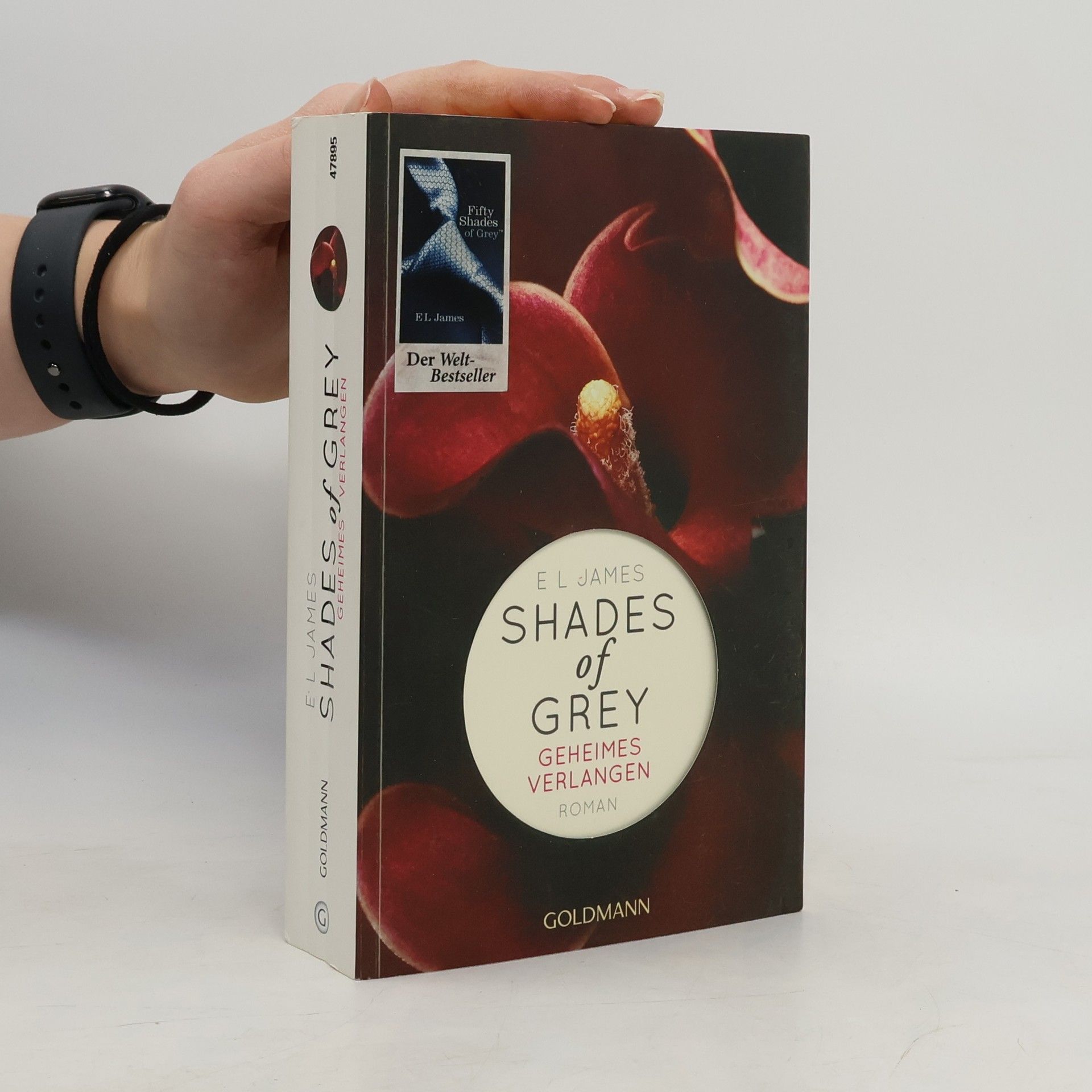 Shades of Grey. Geheimes Verlangen