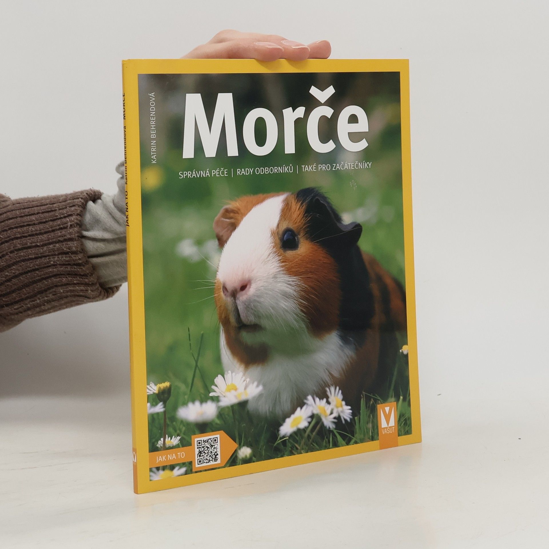 Katrin Behrend Morče