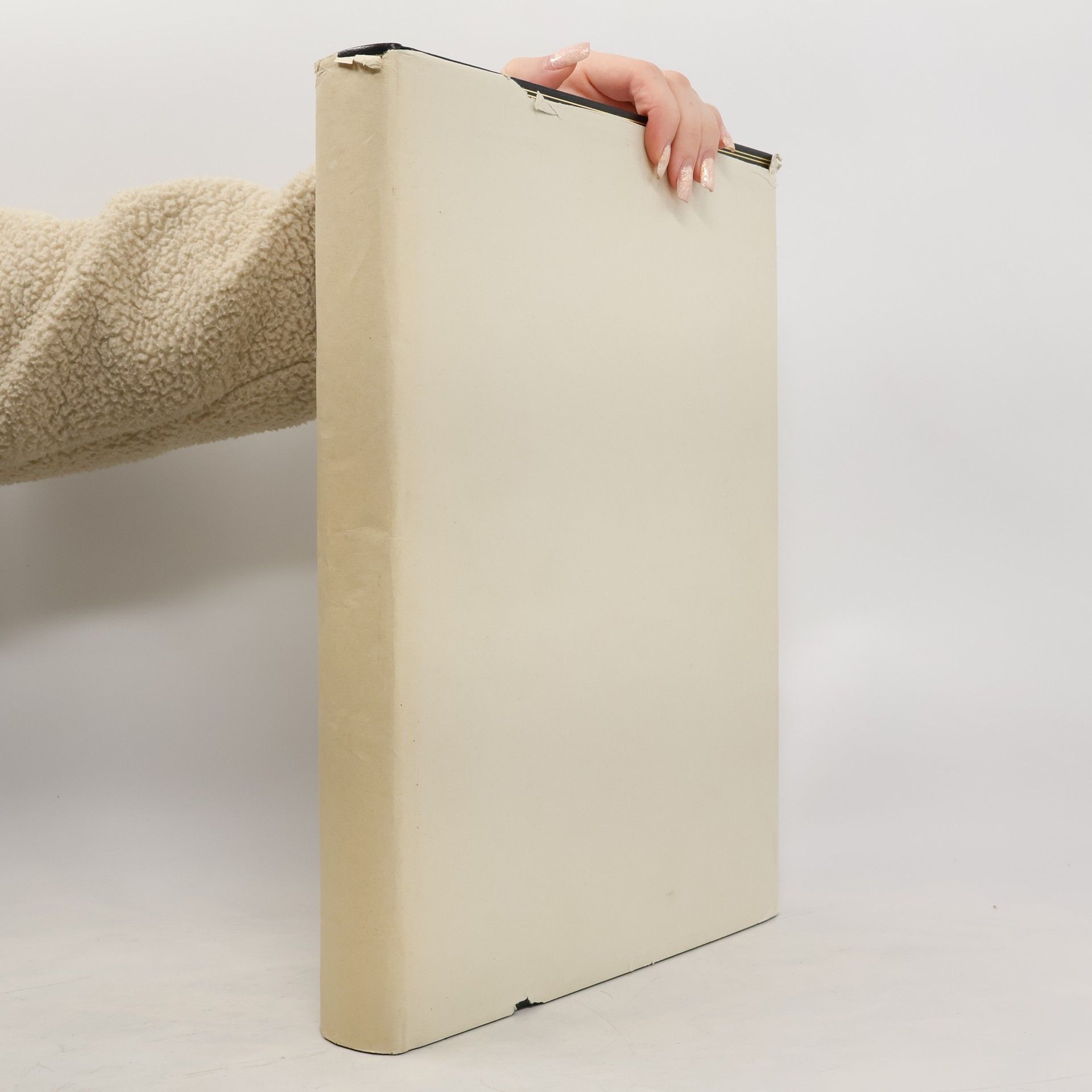 Collectif d'auteurs Brockhaus Die Enzyklopädie. Weltatlas