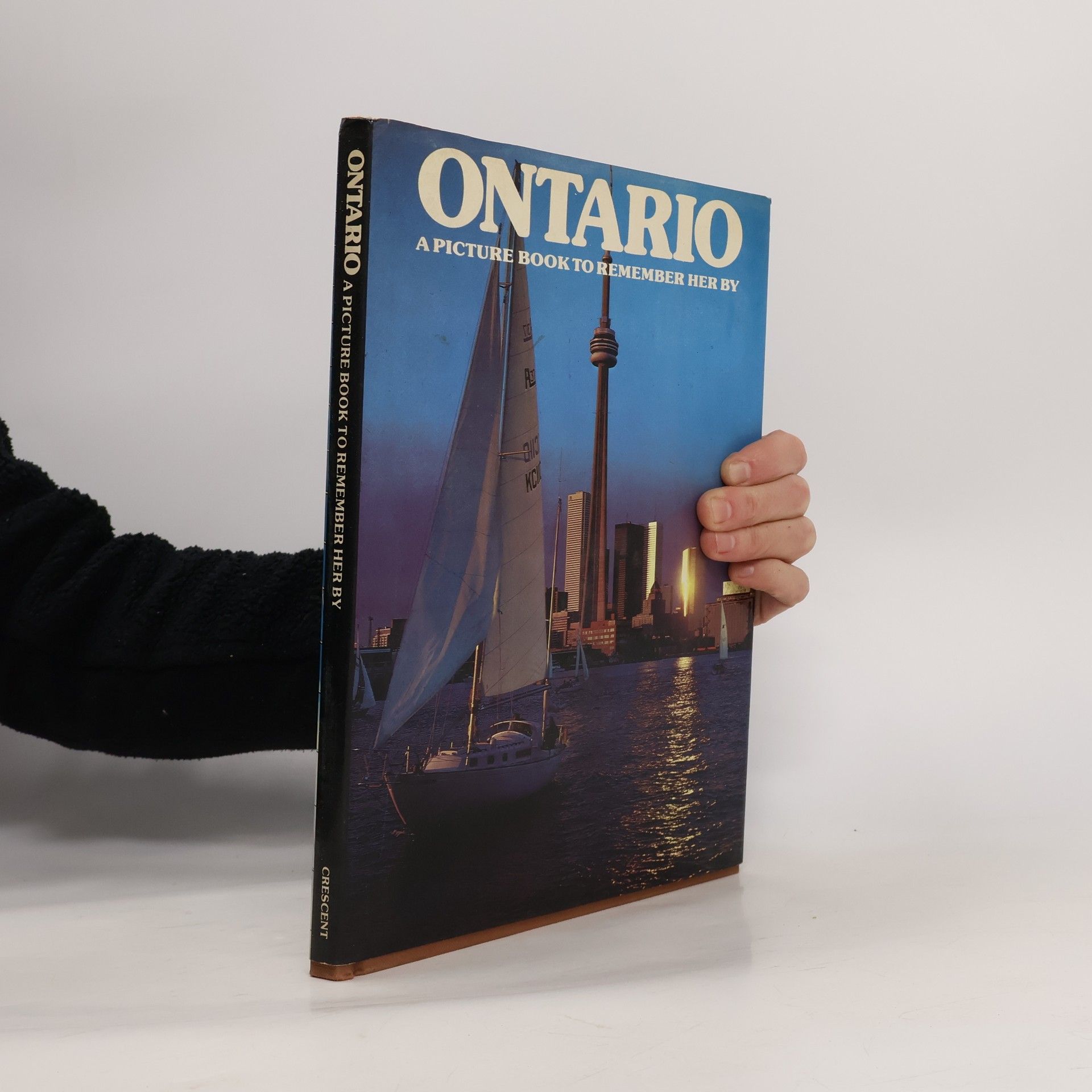 Auteurscollectief Ontario. A Picture Book to Remember her by