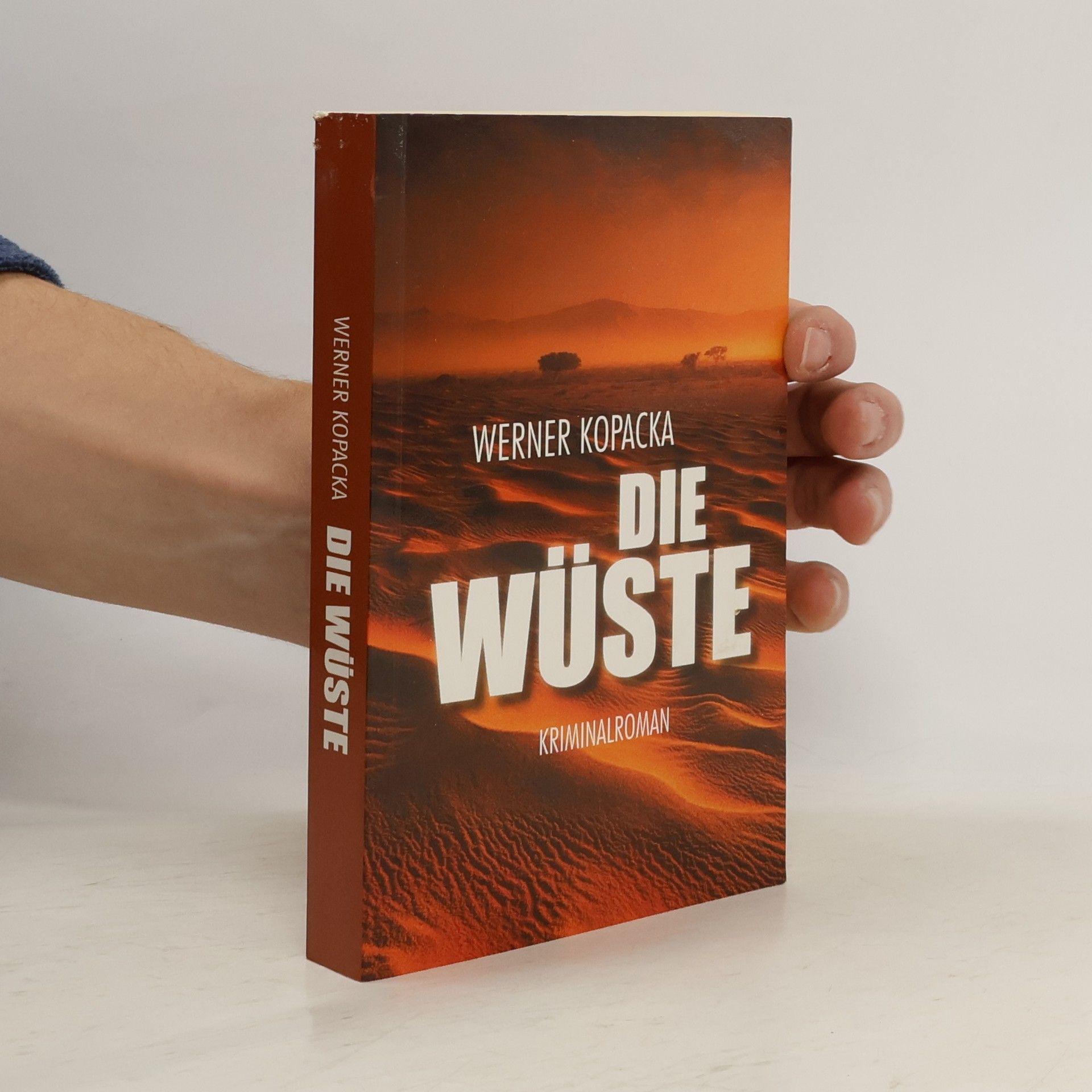 Die Wüste