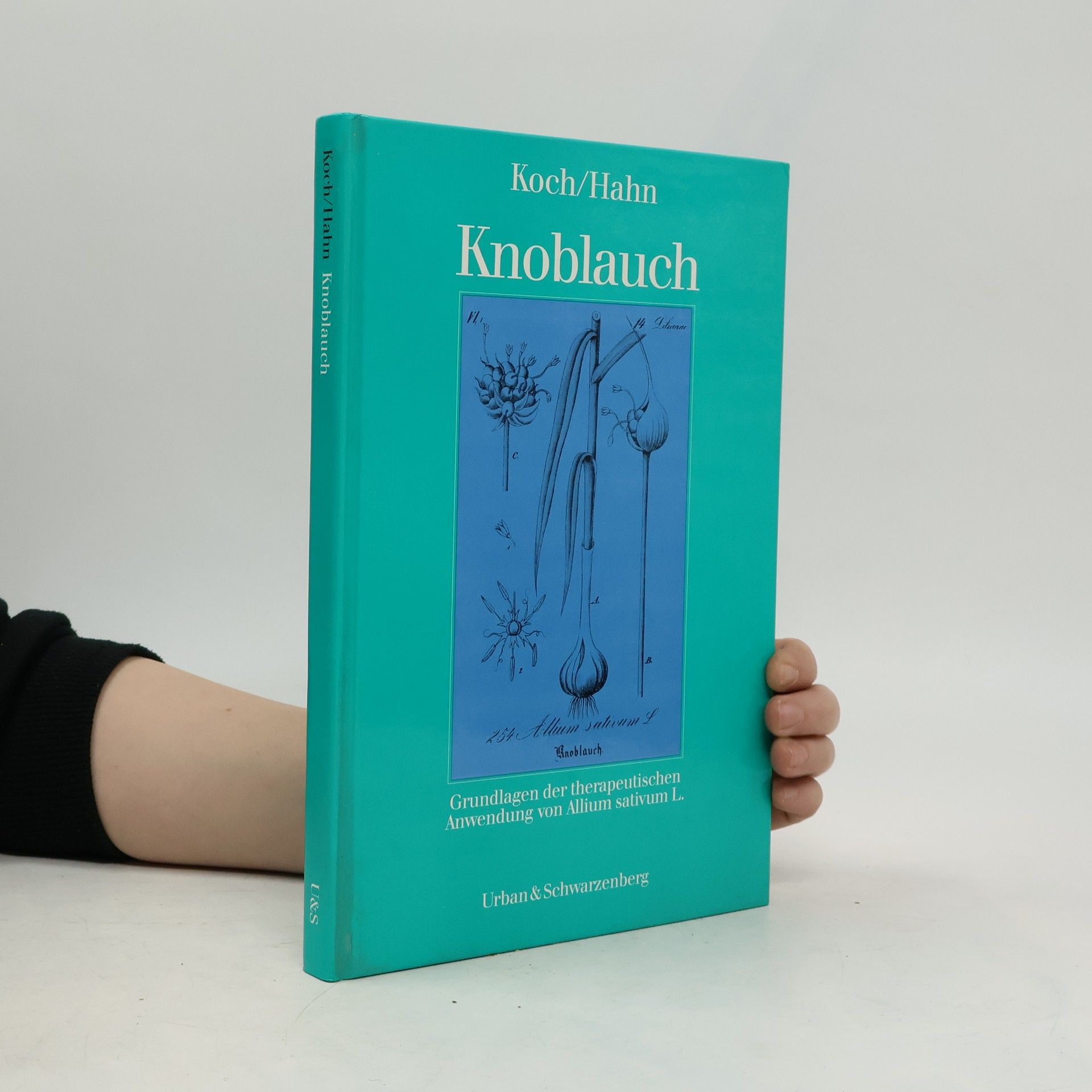 Knoblauch