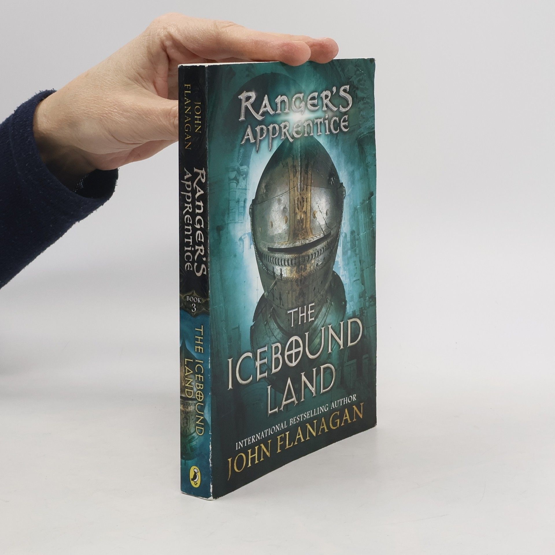 Ranger's Apprentice. The Icebound Land