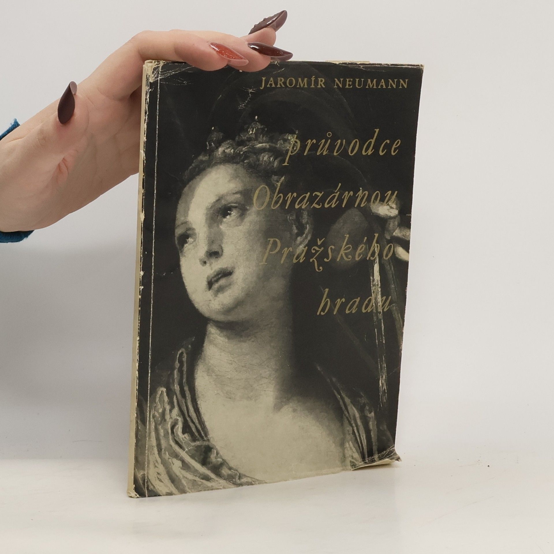 Jaromír Neumann Průvodce Obrazárnou Pražského hradu