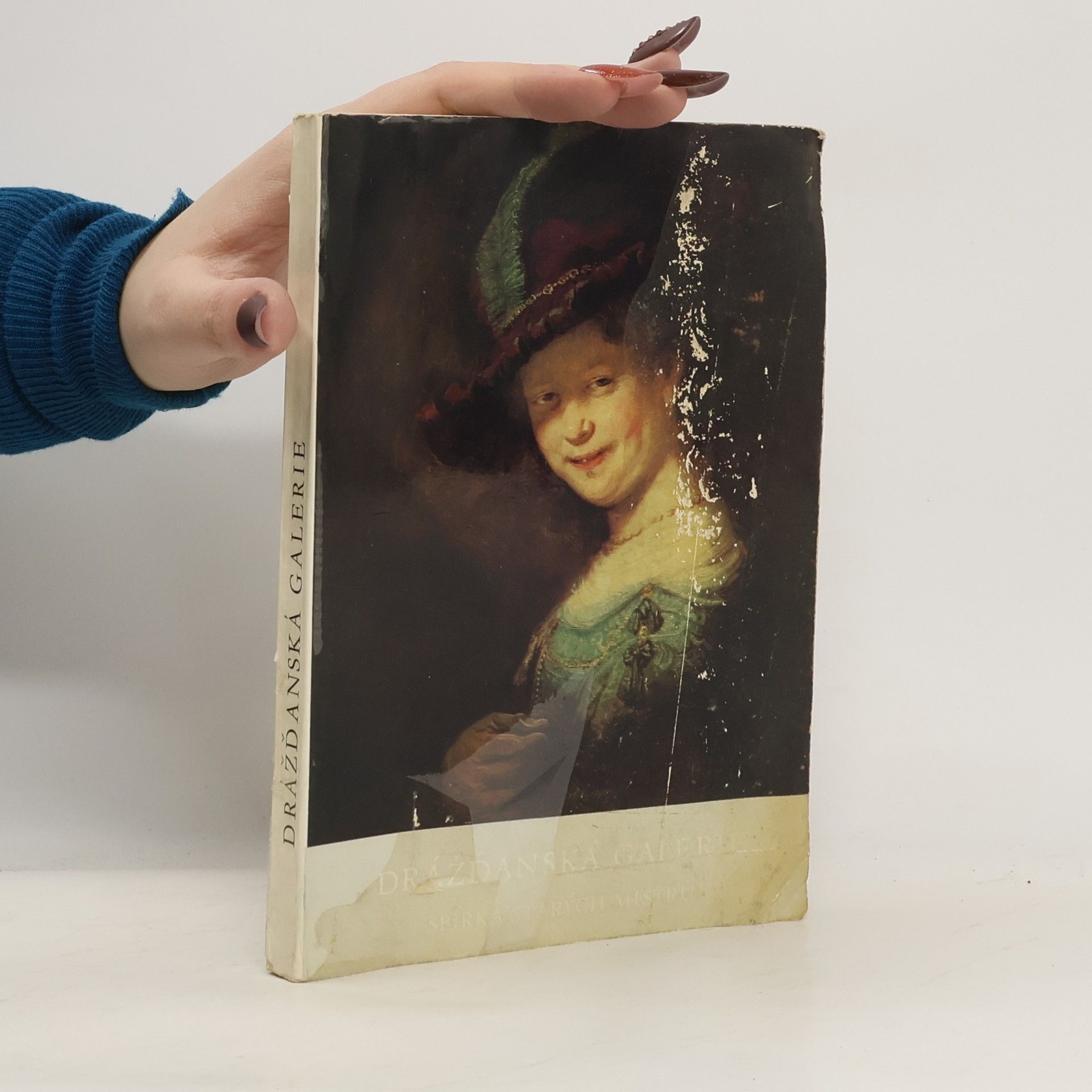 Kolektiv autorů Drážďanská galerie. Sbírka starých mistrů