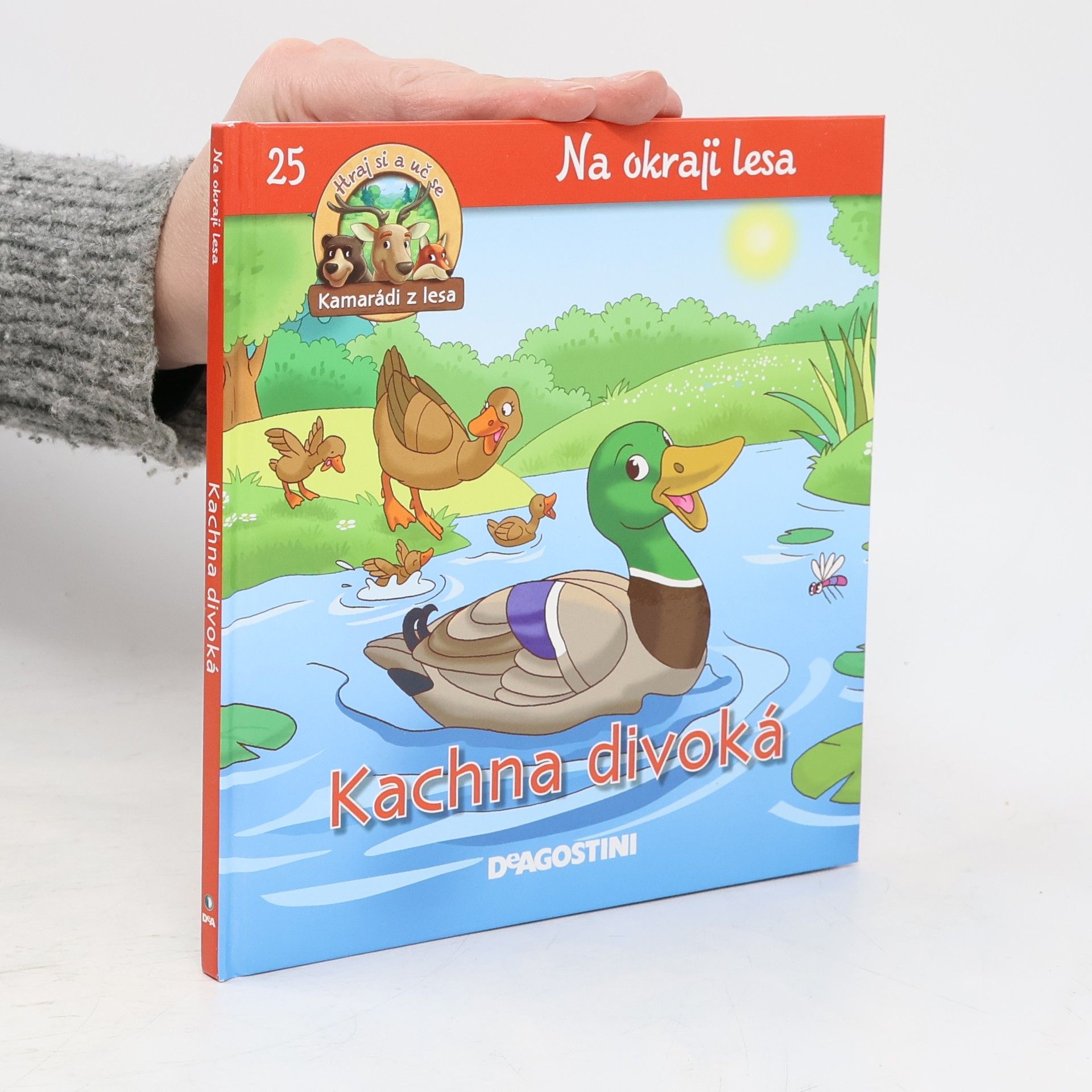 Kolektív autorov Kachna divoká