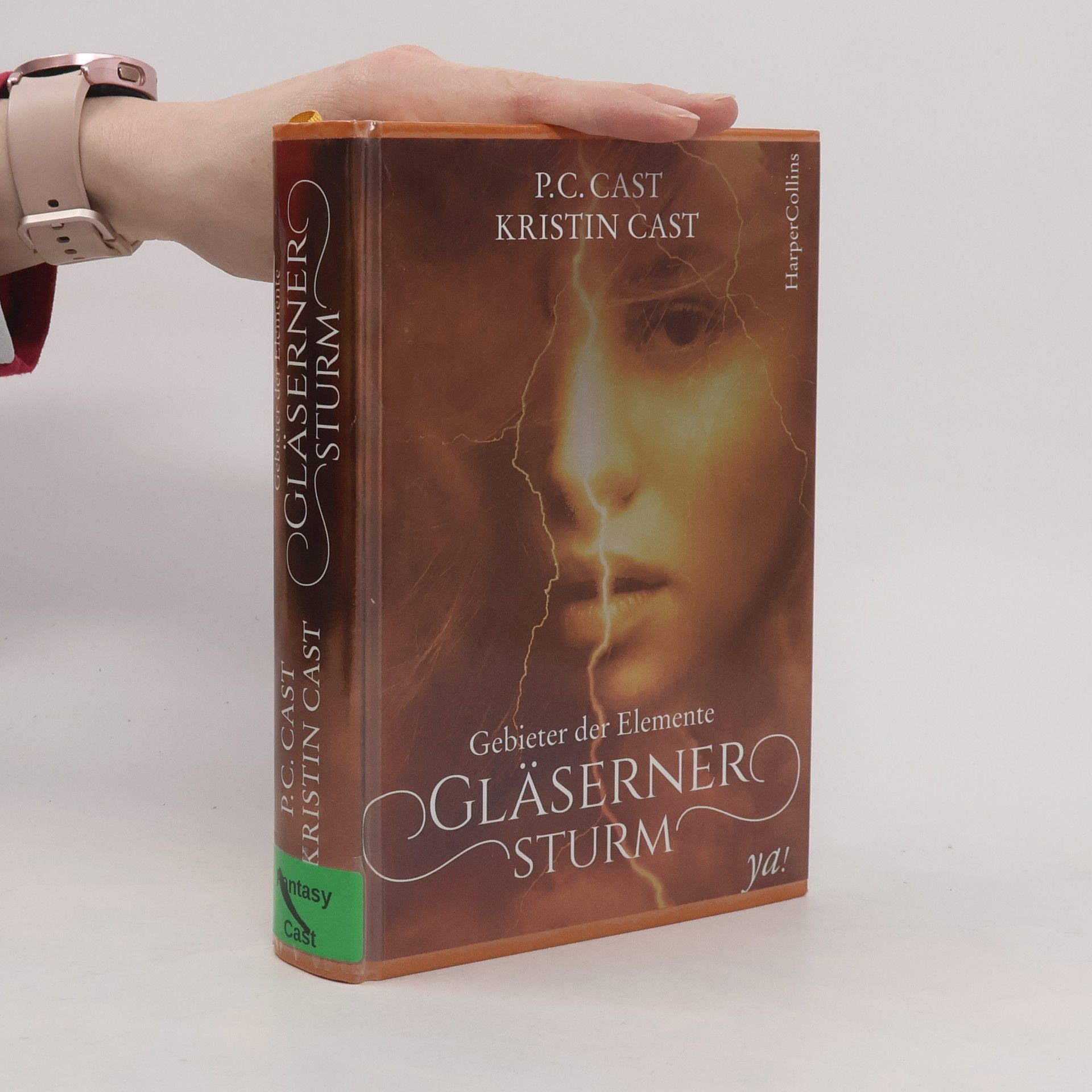 Phyllis Christine Cast Gebieter der Elemente - gläserner Sturm