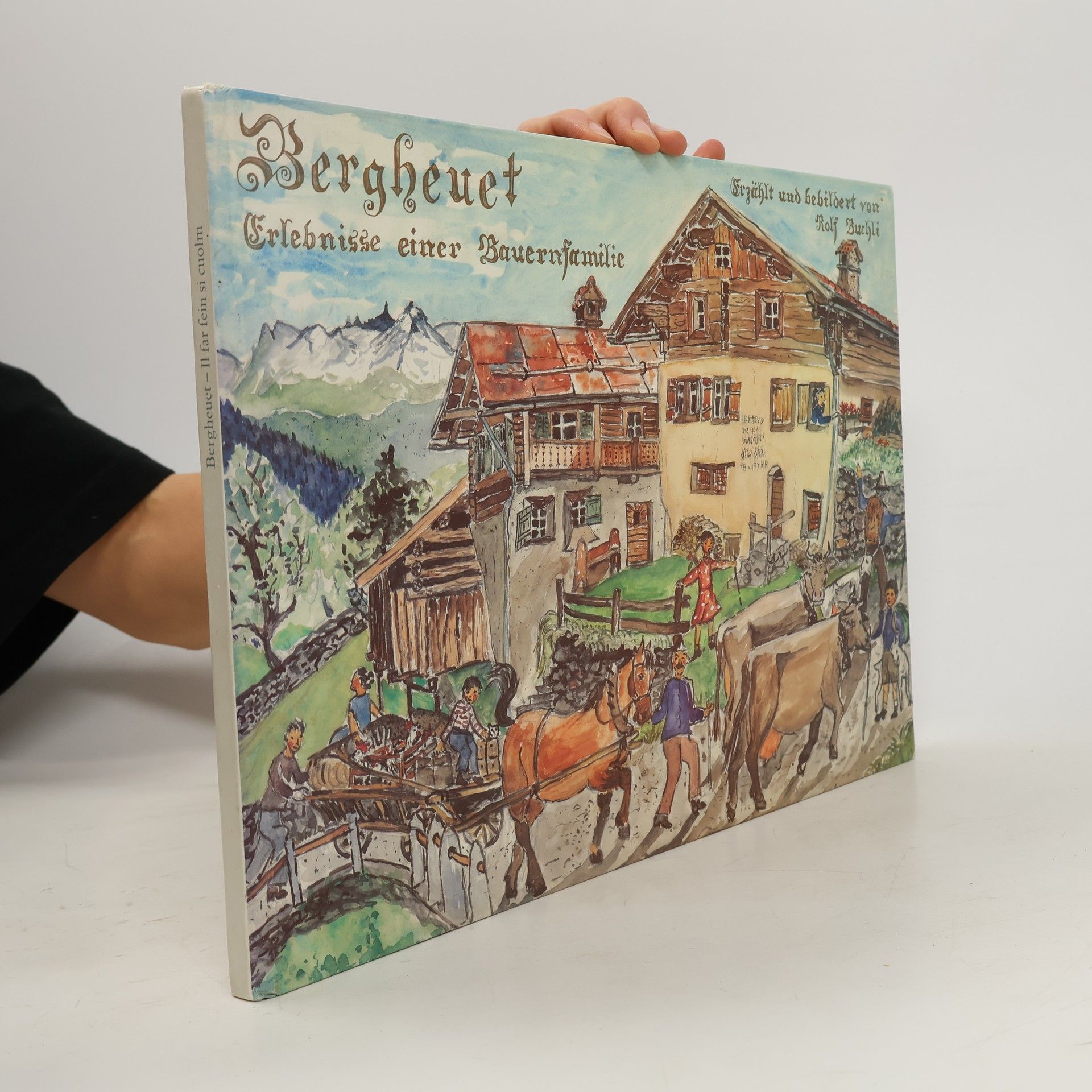 Rolf Buchli Bergheuet