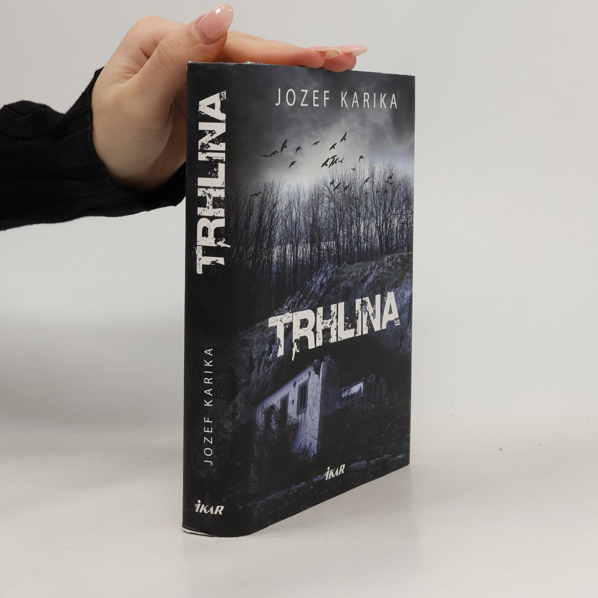 Jozef Karika Trhlina