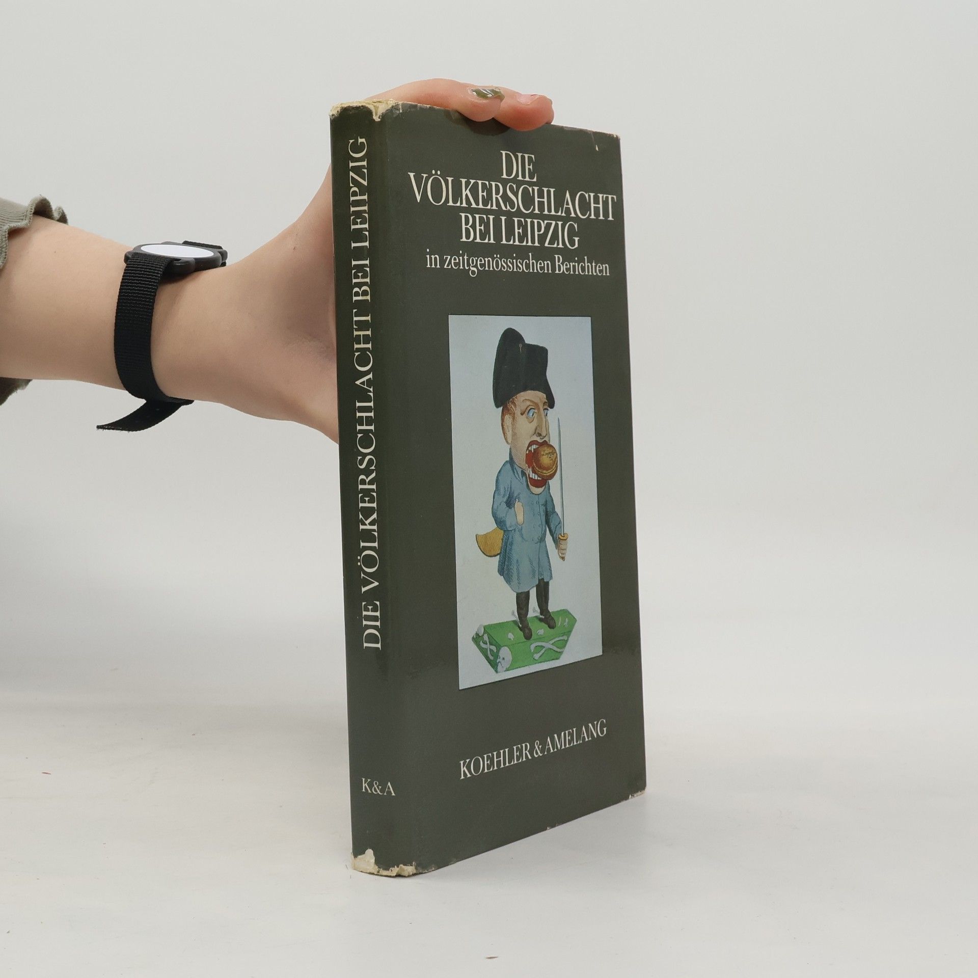 Die Völkerschlacht bei Leipzig im zeitgenössischen Berichten