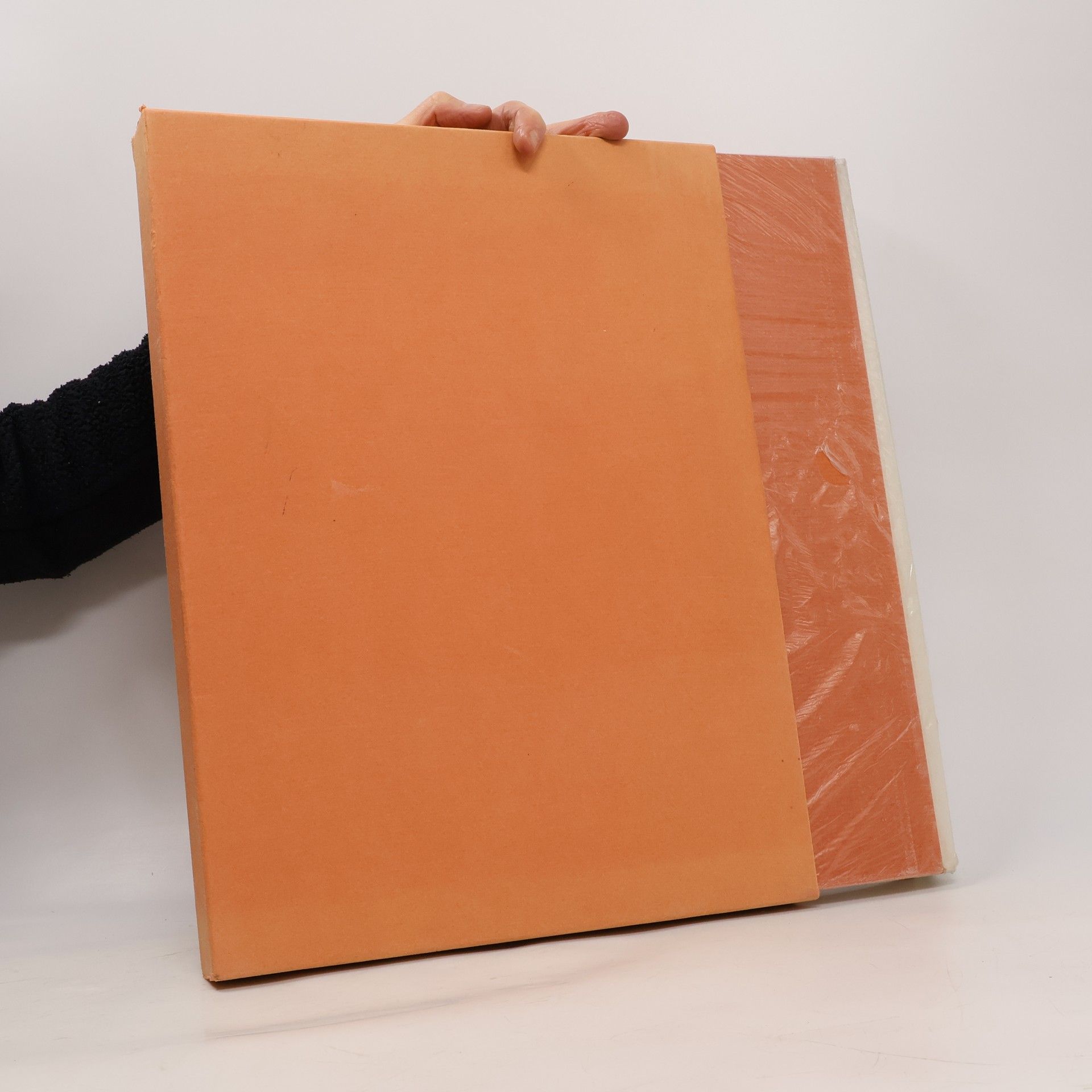 Collectif d'auteurs 100. Meisterzeichnungen des 15. und 16. Jahrhunderts aus dem Basler Kupferstichkabinett