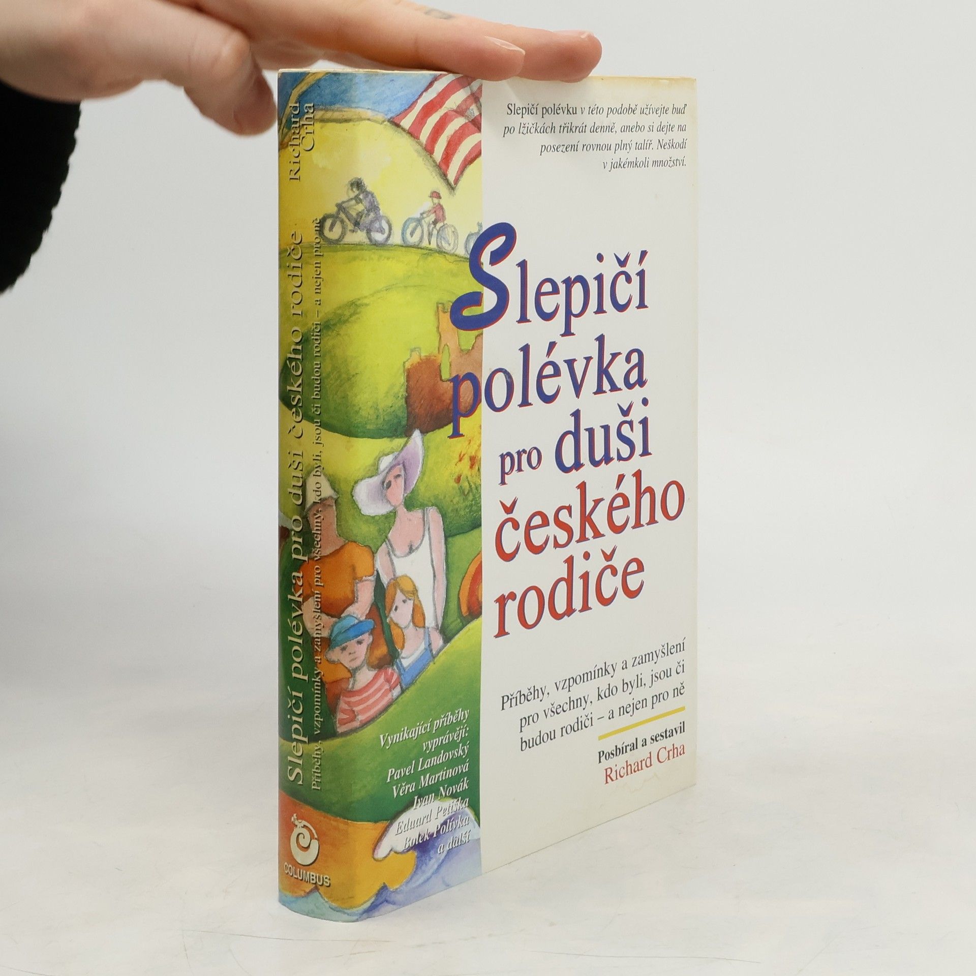 Slepičí polévka pro duši českého rodiče