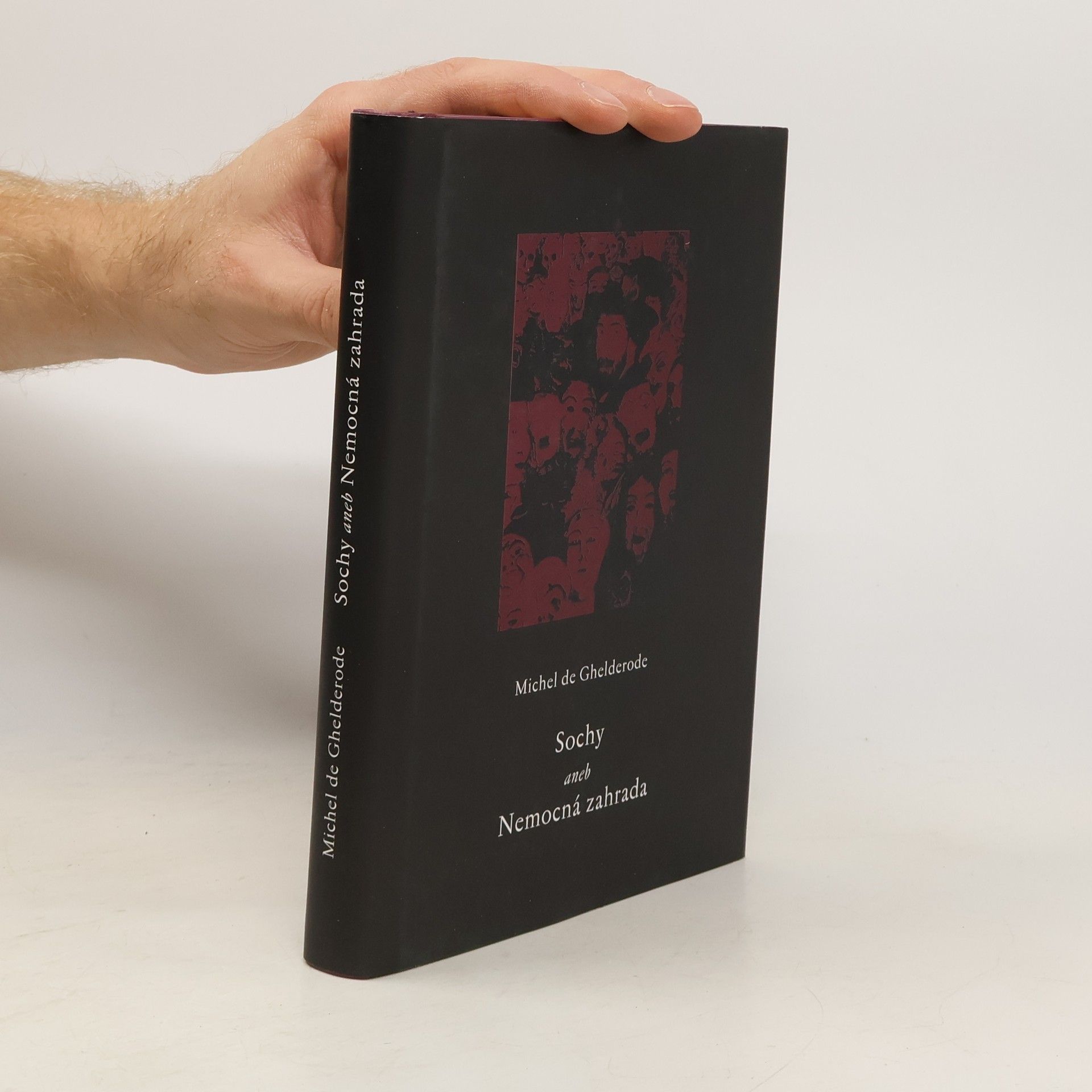 Sochy aneb Nemocná zahrada