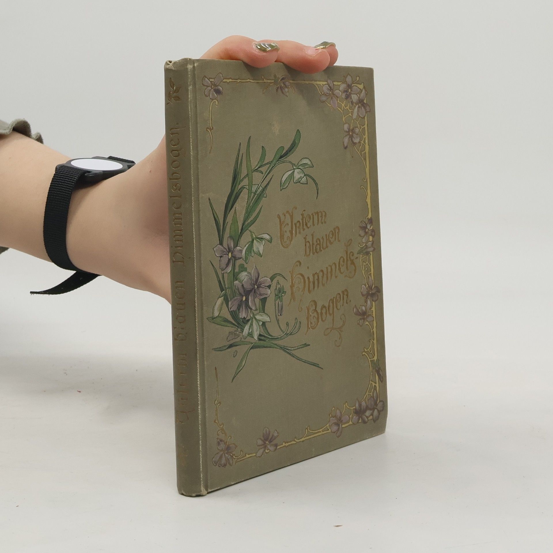 A. von Wyl Unterm blauen Himmelsbogen