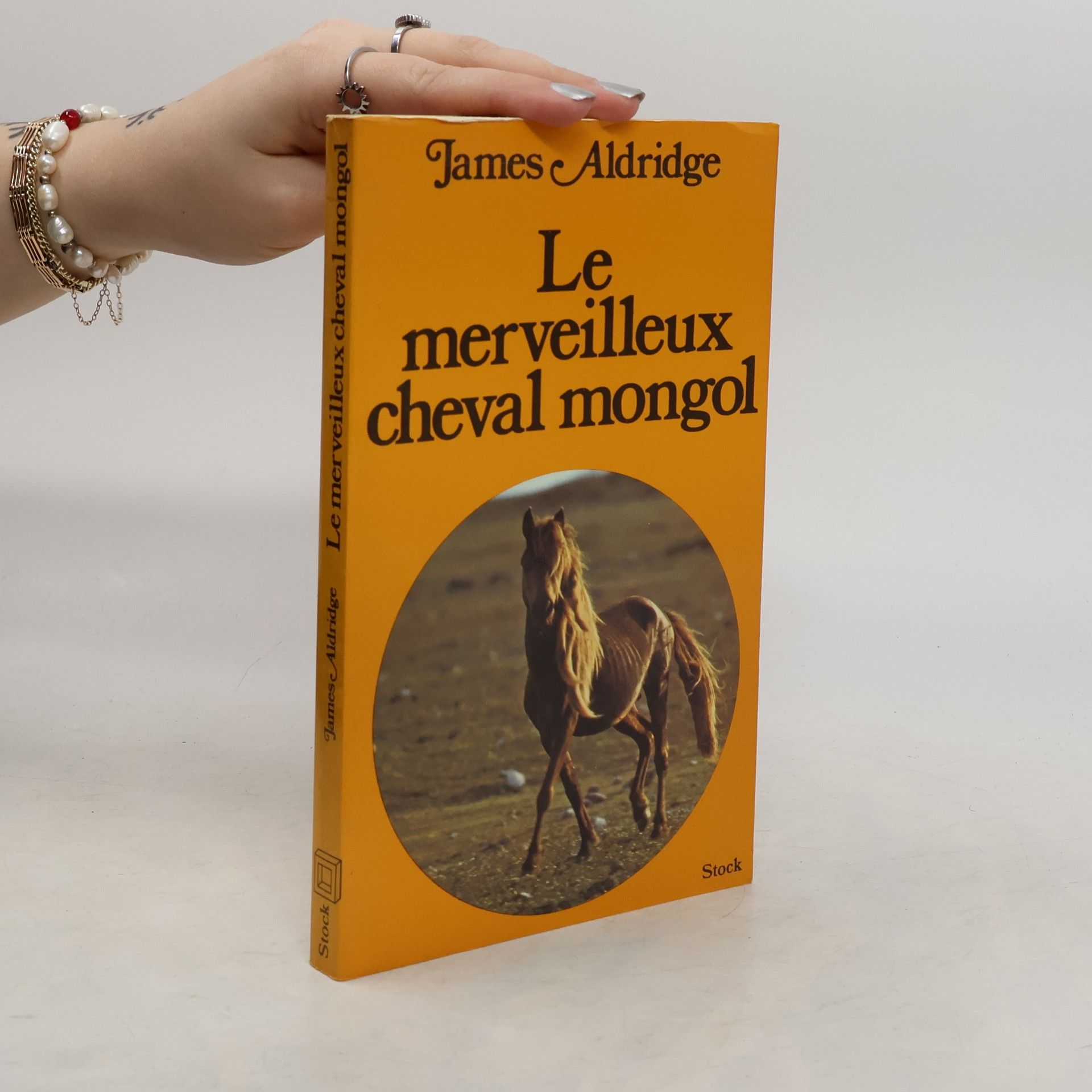 James Aldridge Le merveilleux cheval mongol