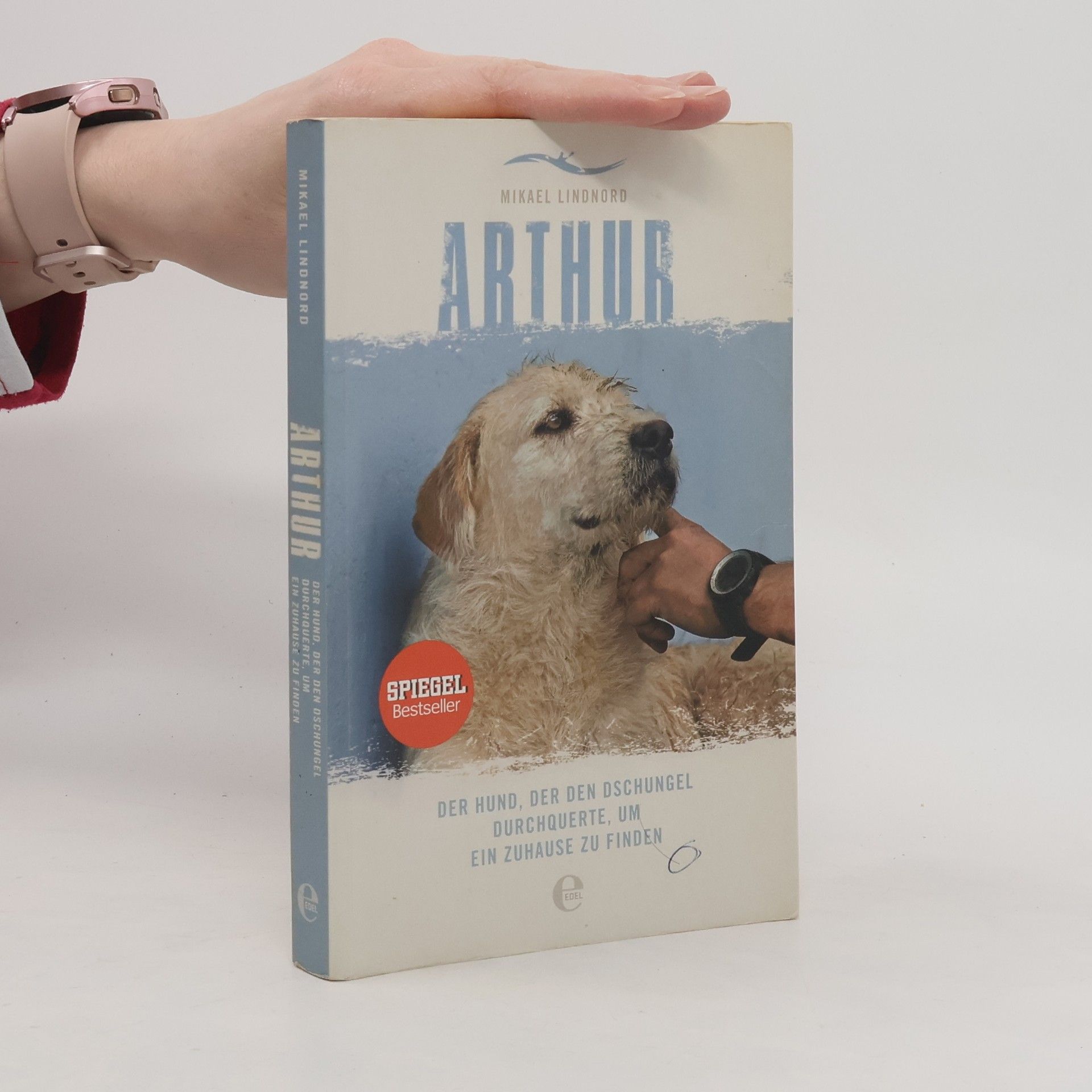 Mikael Lindnord Arthur