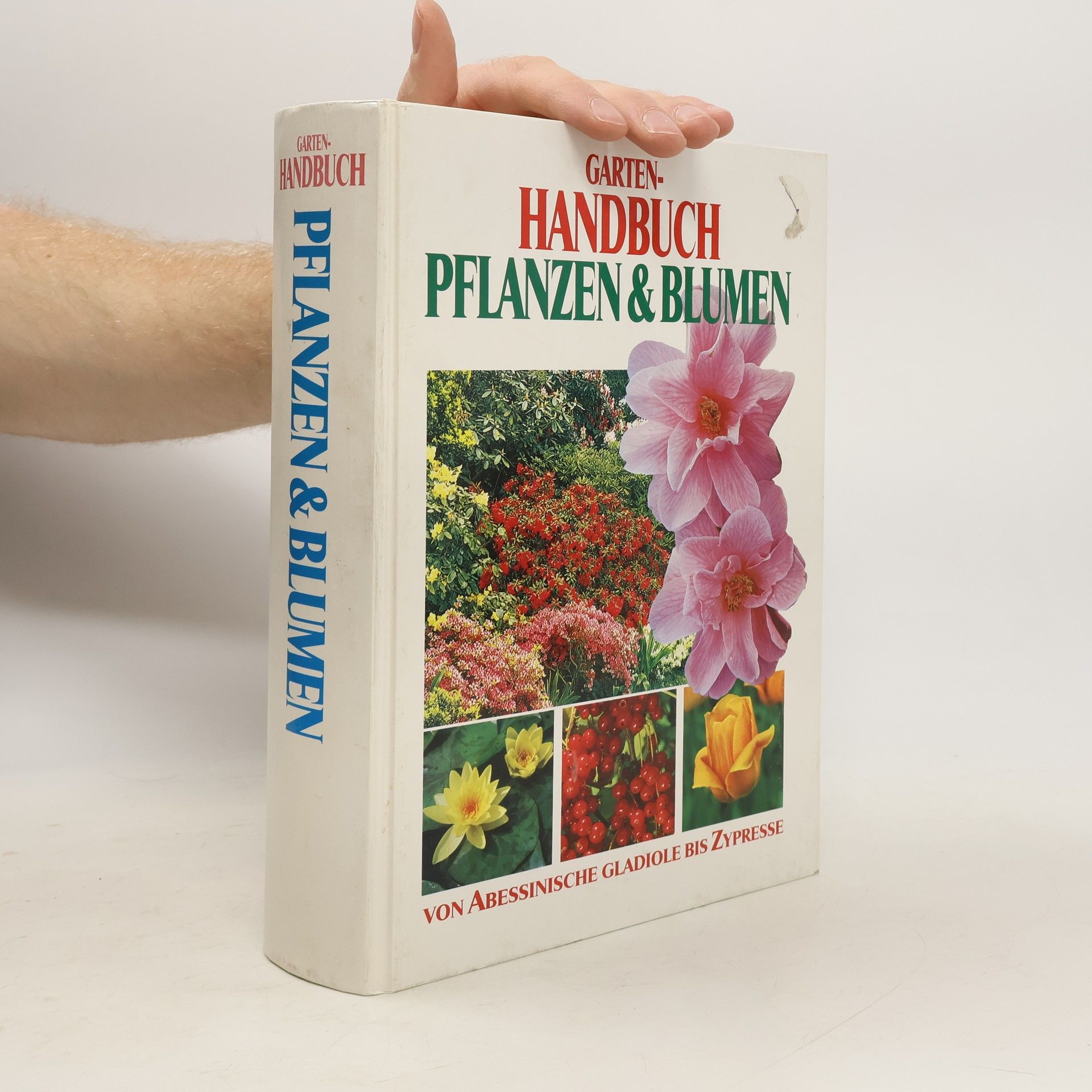 Autorenkollektiv Garten-Handbuch Pflanzen & Blumen