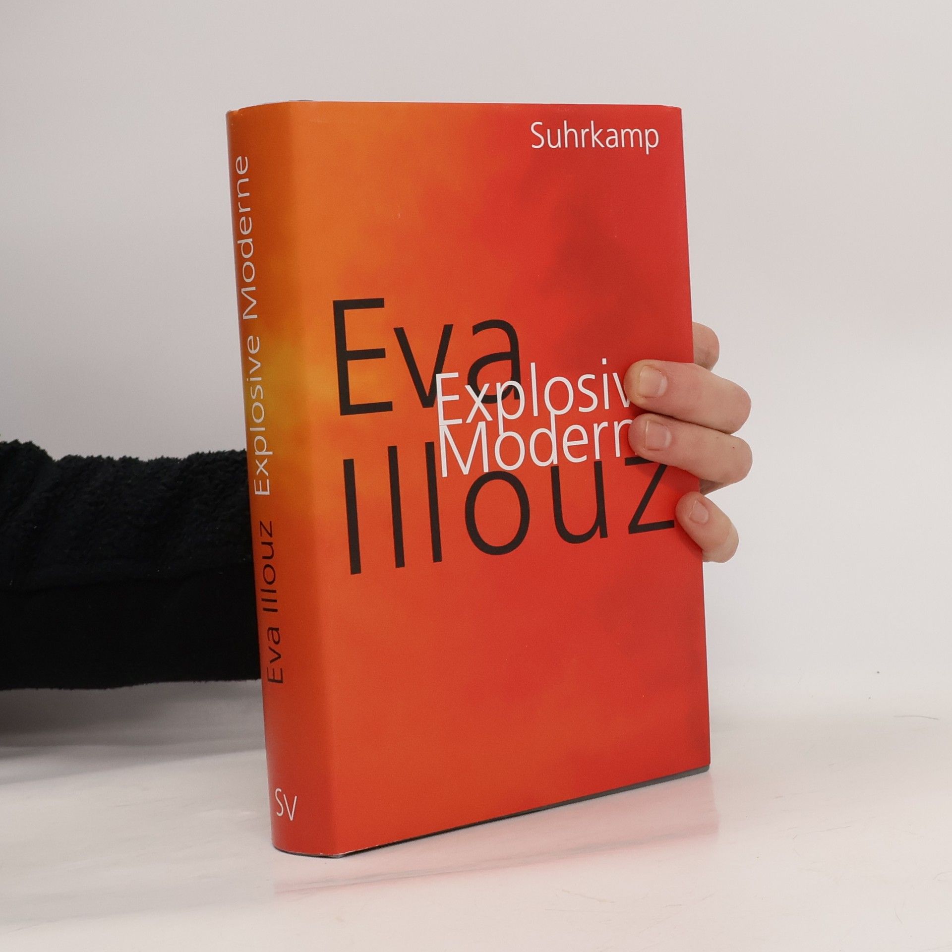 Explosive Moderne. Eine scharfsinnige Analyse unserer emotionsgeladenen Gegenwart