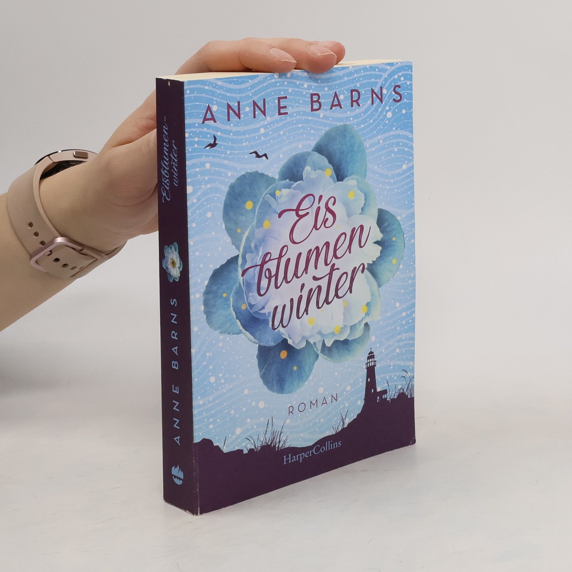 Anne Barns Eisblumenwinter