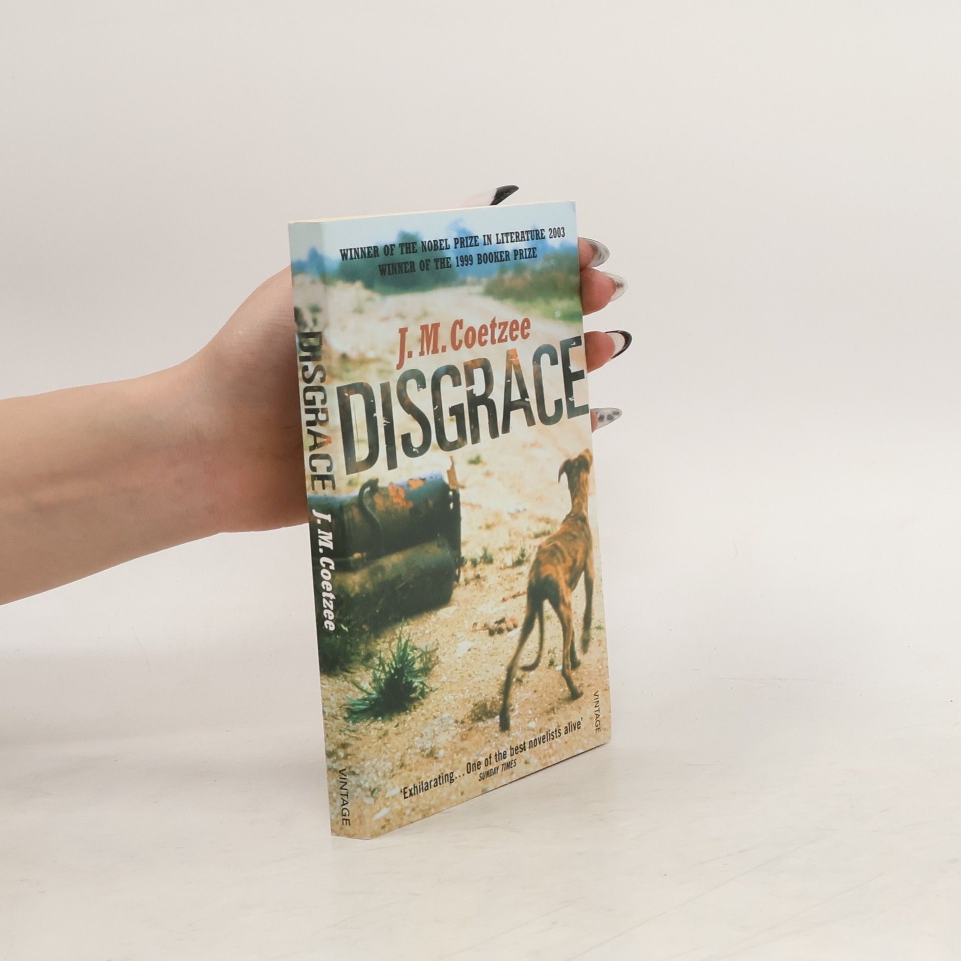 John Maxwell Coetzee Disgrace