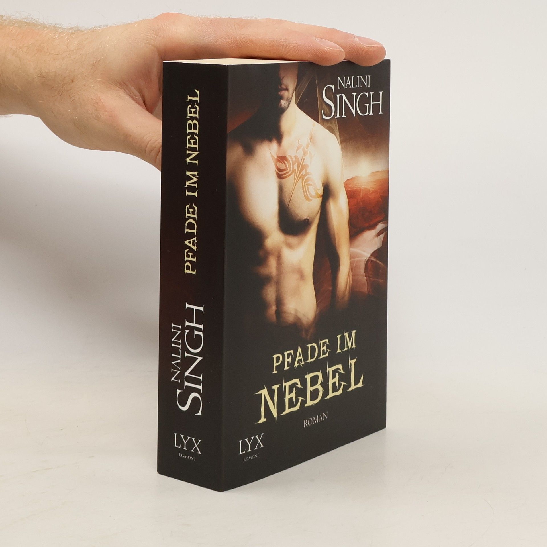 Nalini Singh Pfade im Nebel