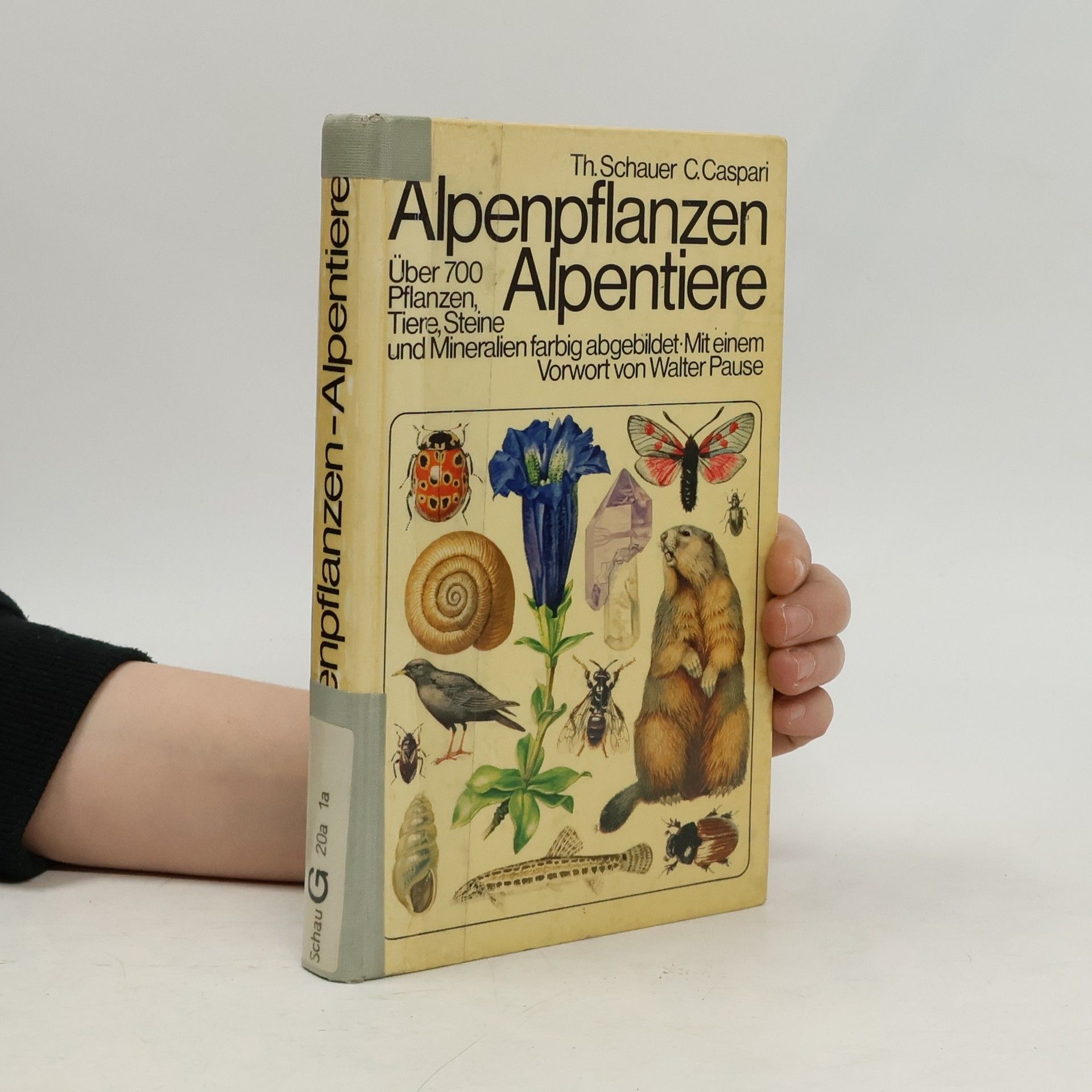 Alpenpflanzen, Alpentiere