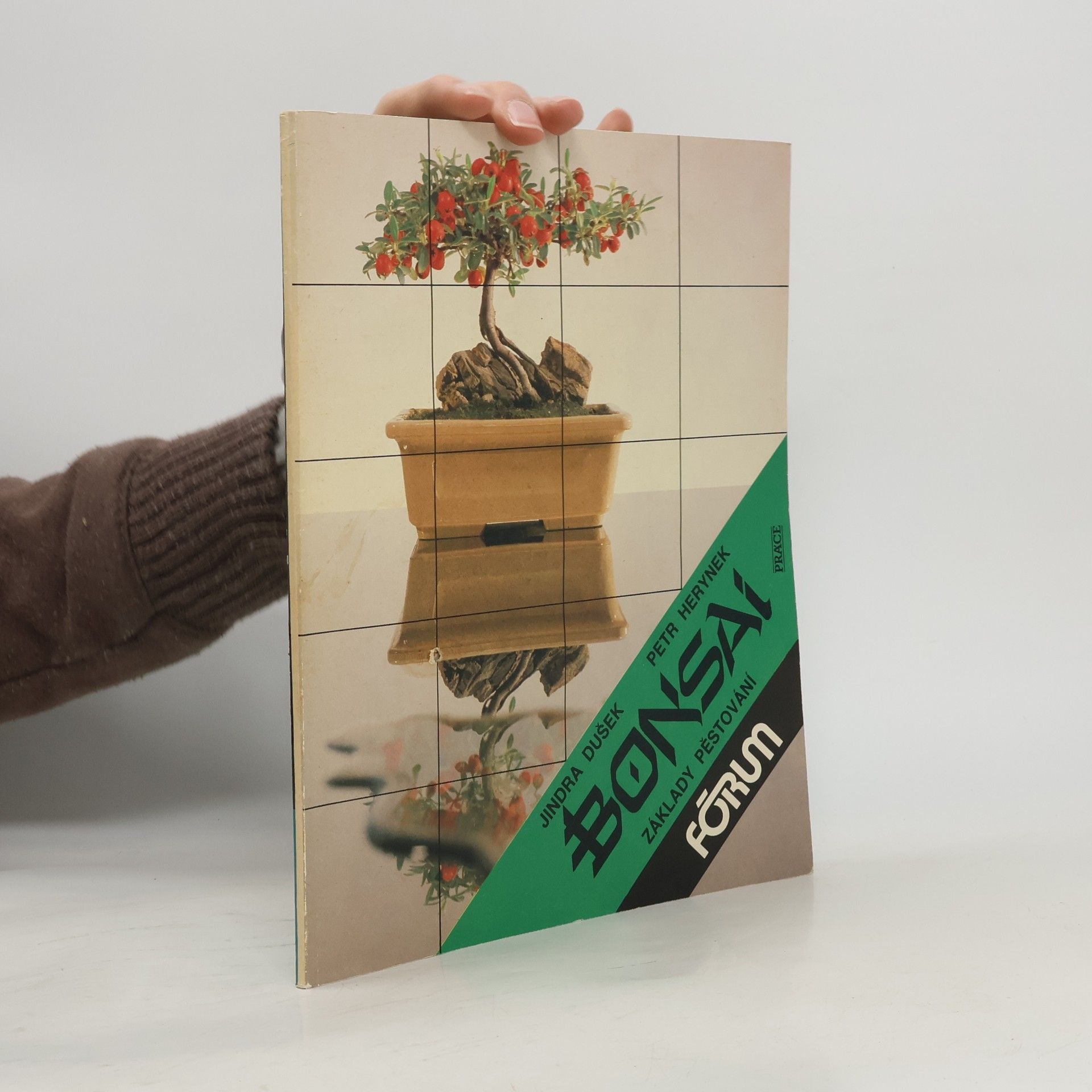 Bonsai. Základy pěstování