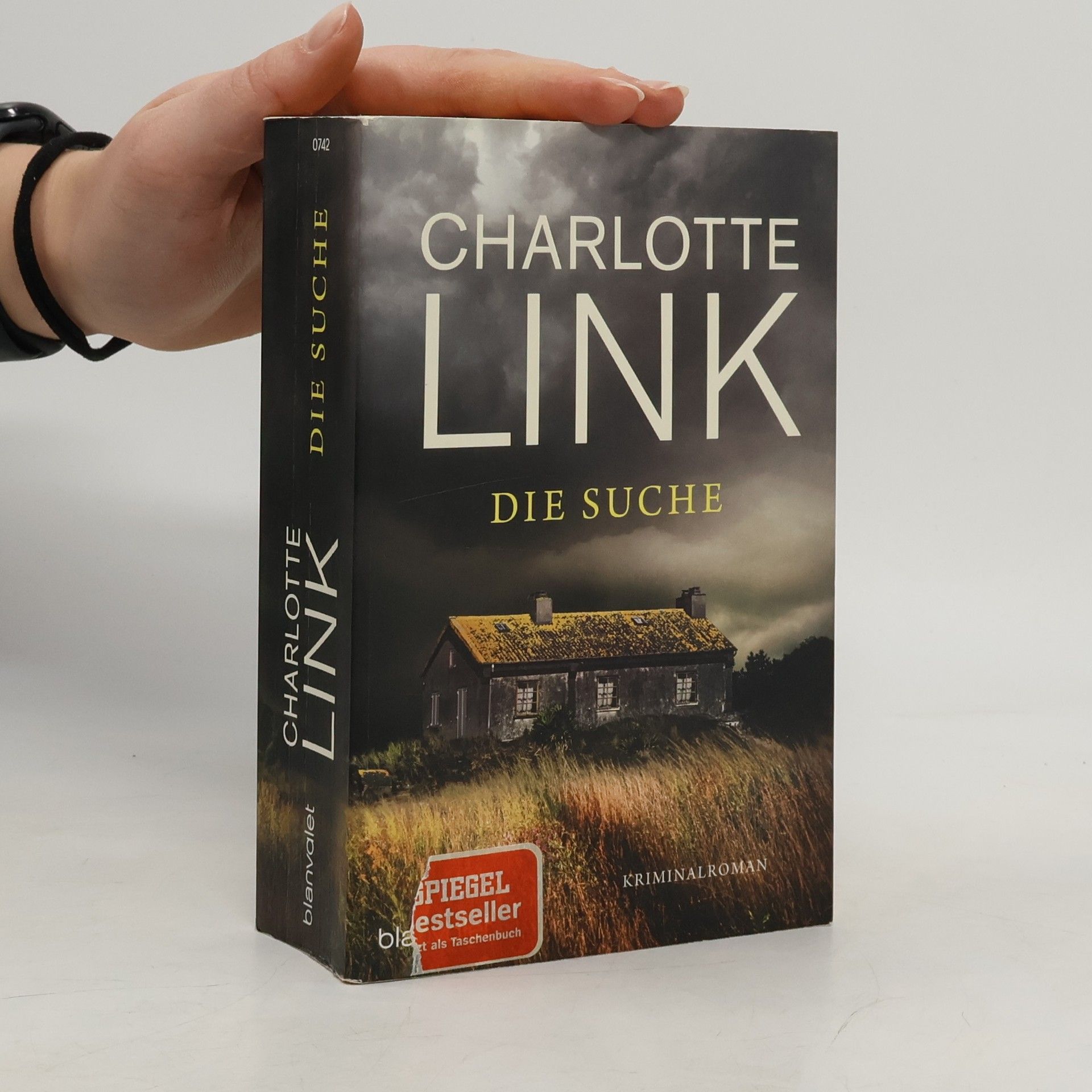 Charlotte Link Die Suche