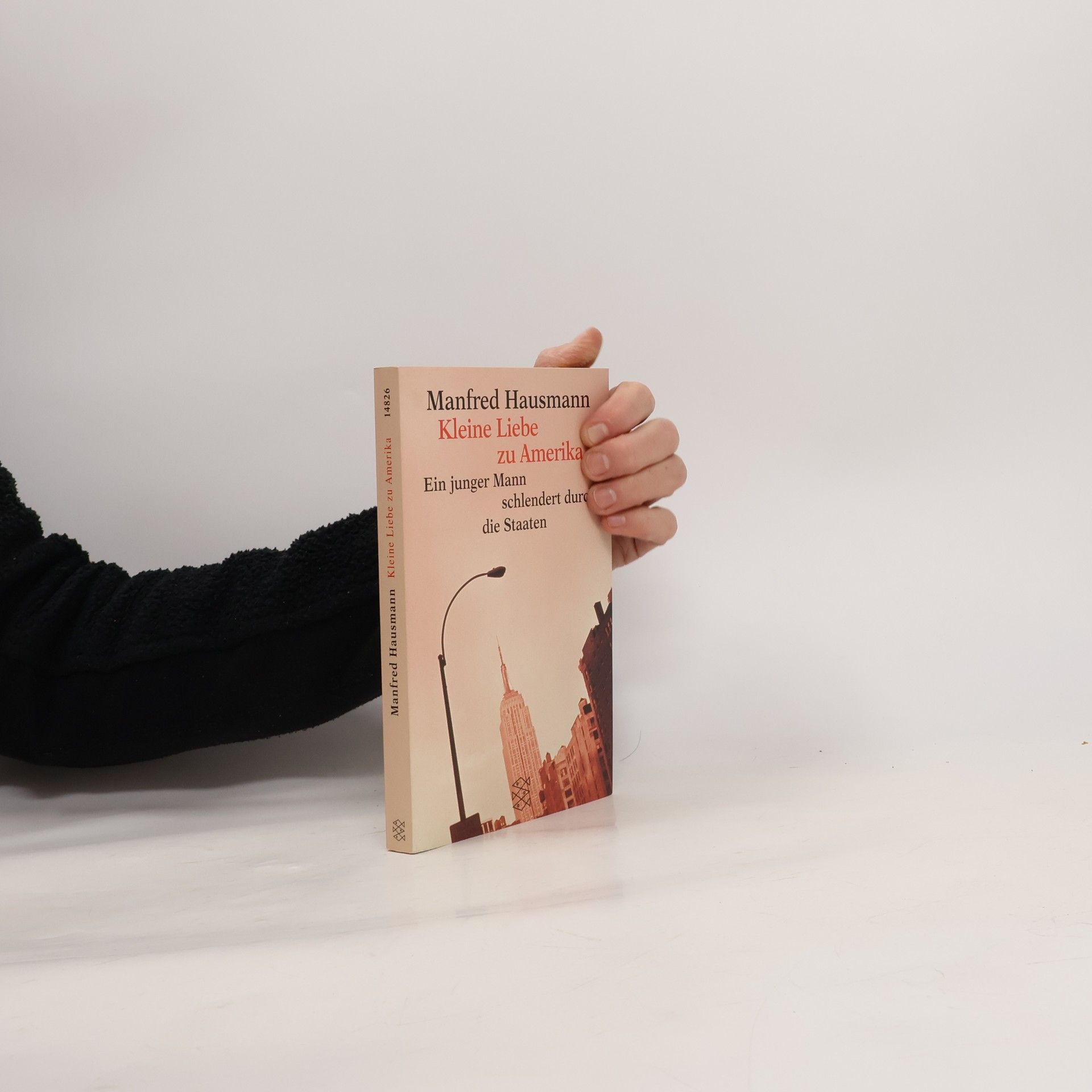 Manfred Hausmann Kleine Liebe zu Amerika