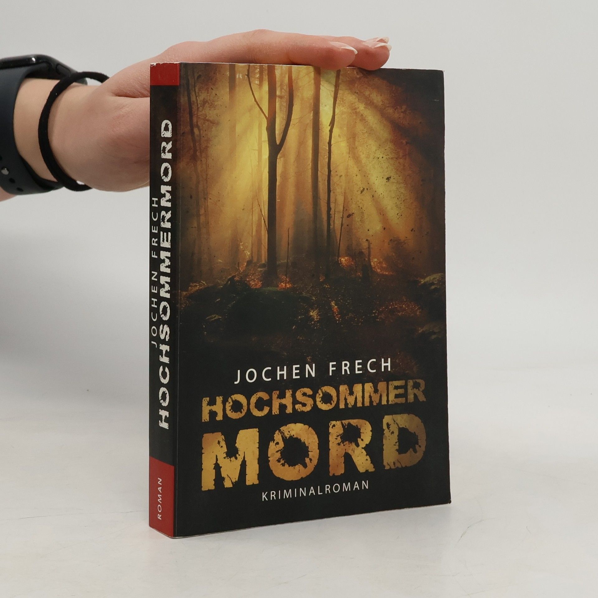 Jochen Frech Hochsommermord