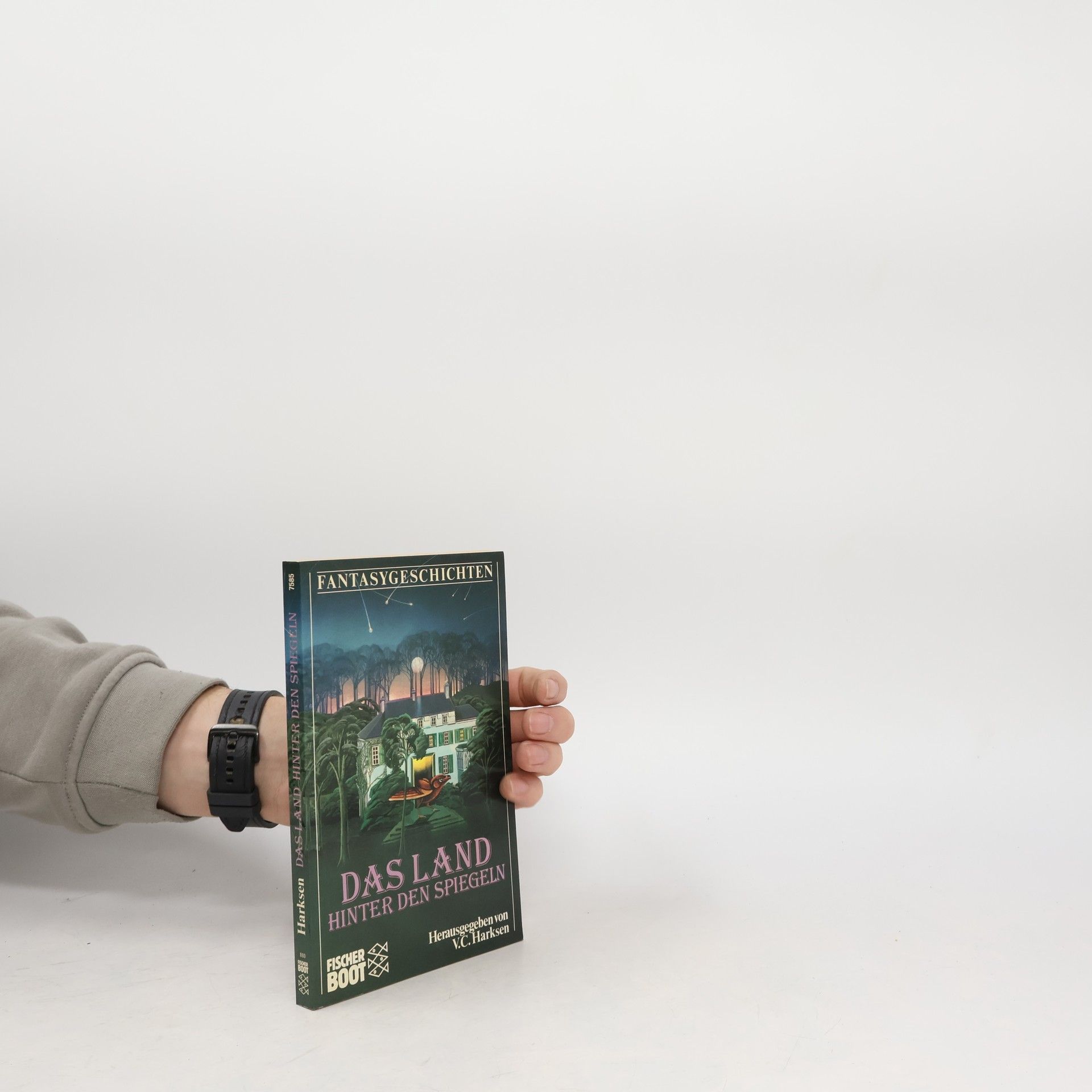 Verena C. Harksen Das Land hinter den Spiegeln. Fantasygeschichten