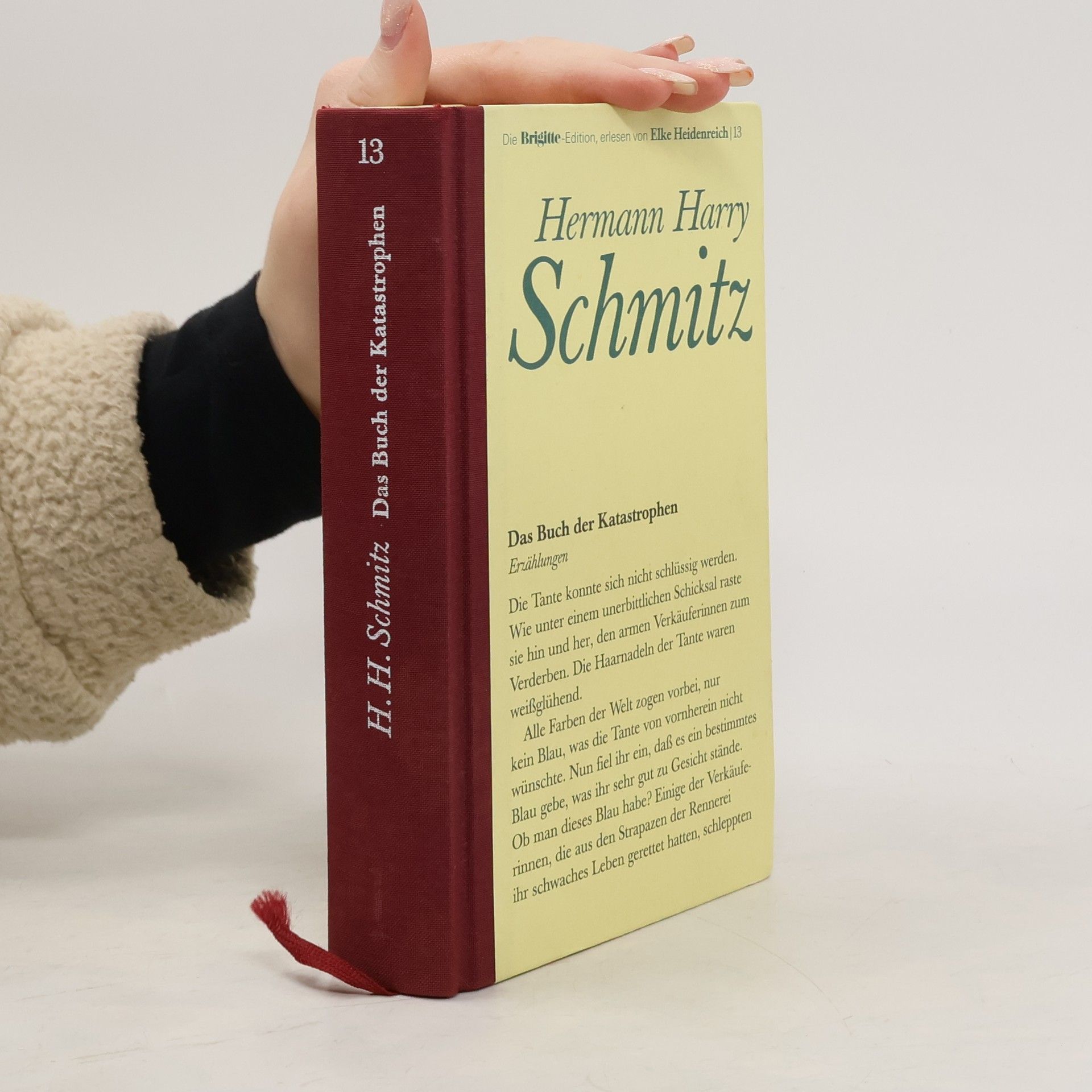 Das Buch der Katastrophen