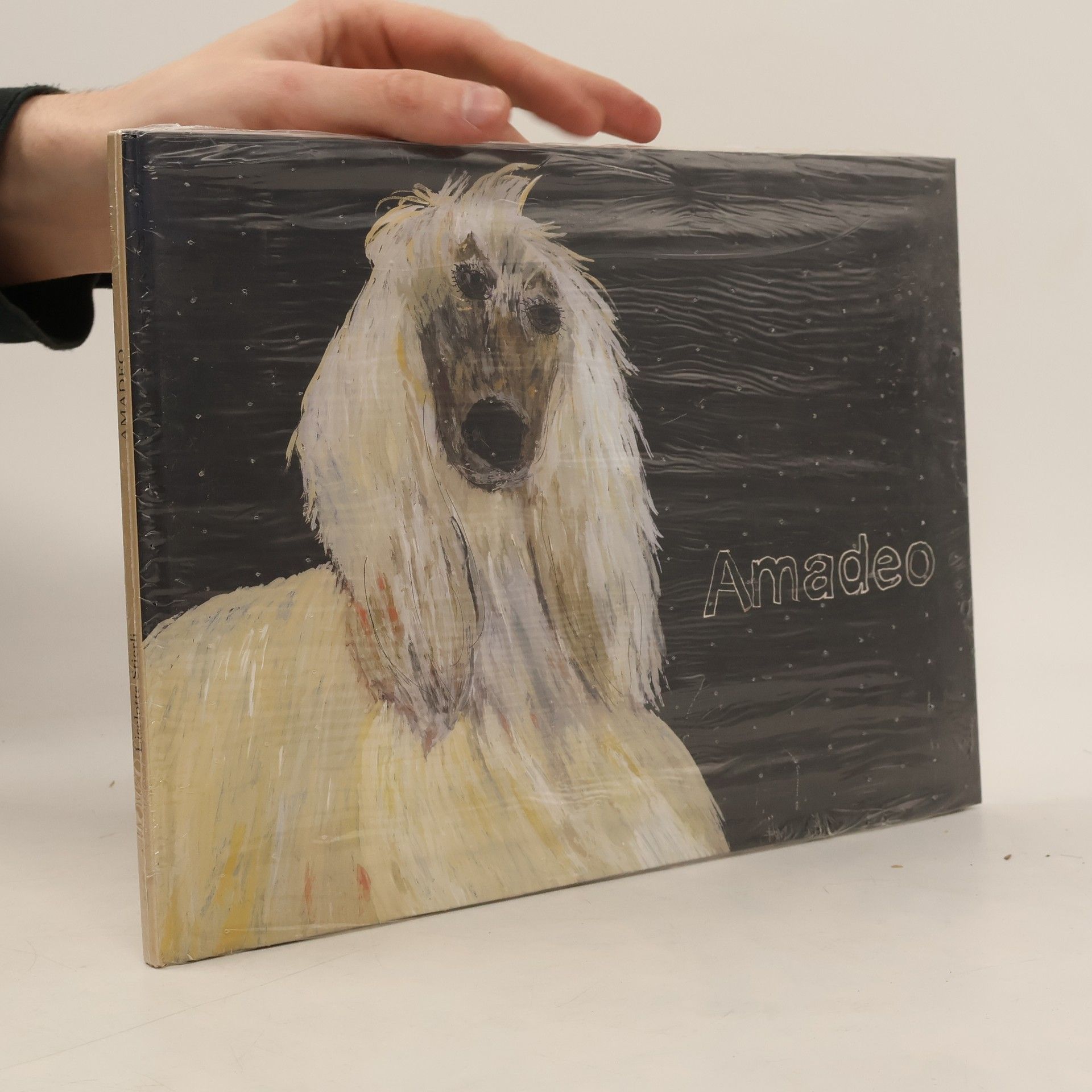 Auteurscollectief Amadeo