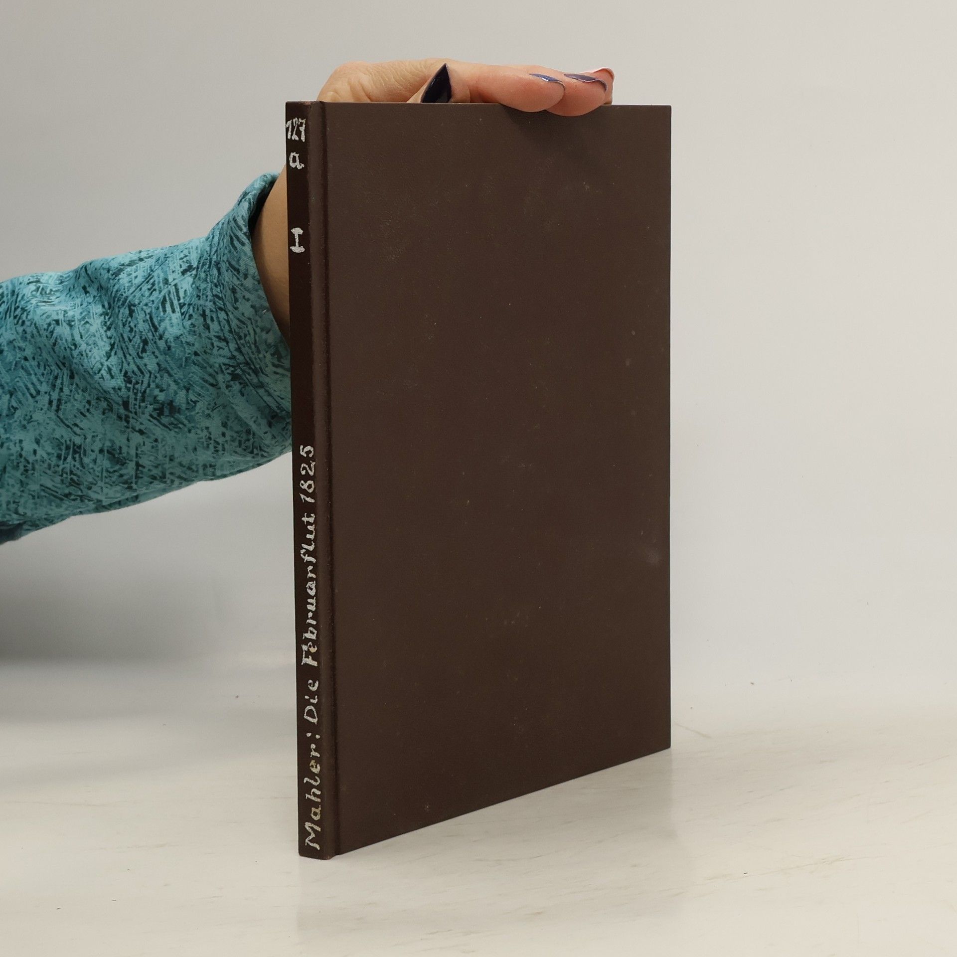 Heinrich Mahler Die Februarflut 1825 in unserer engeren Heimat