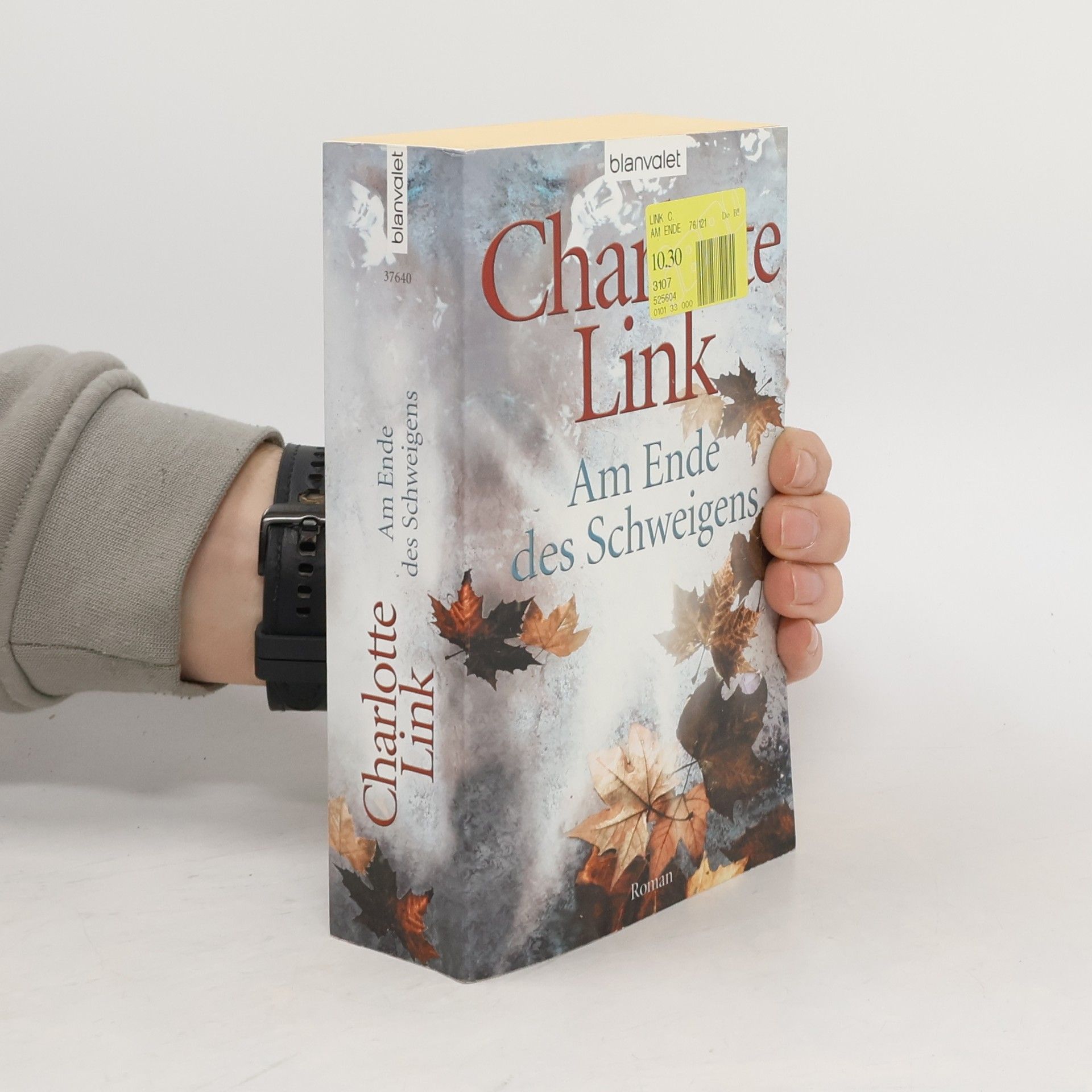 Charlotte Link Am Ende des Schweigens