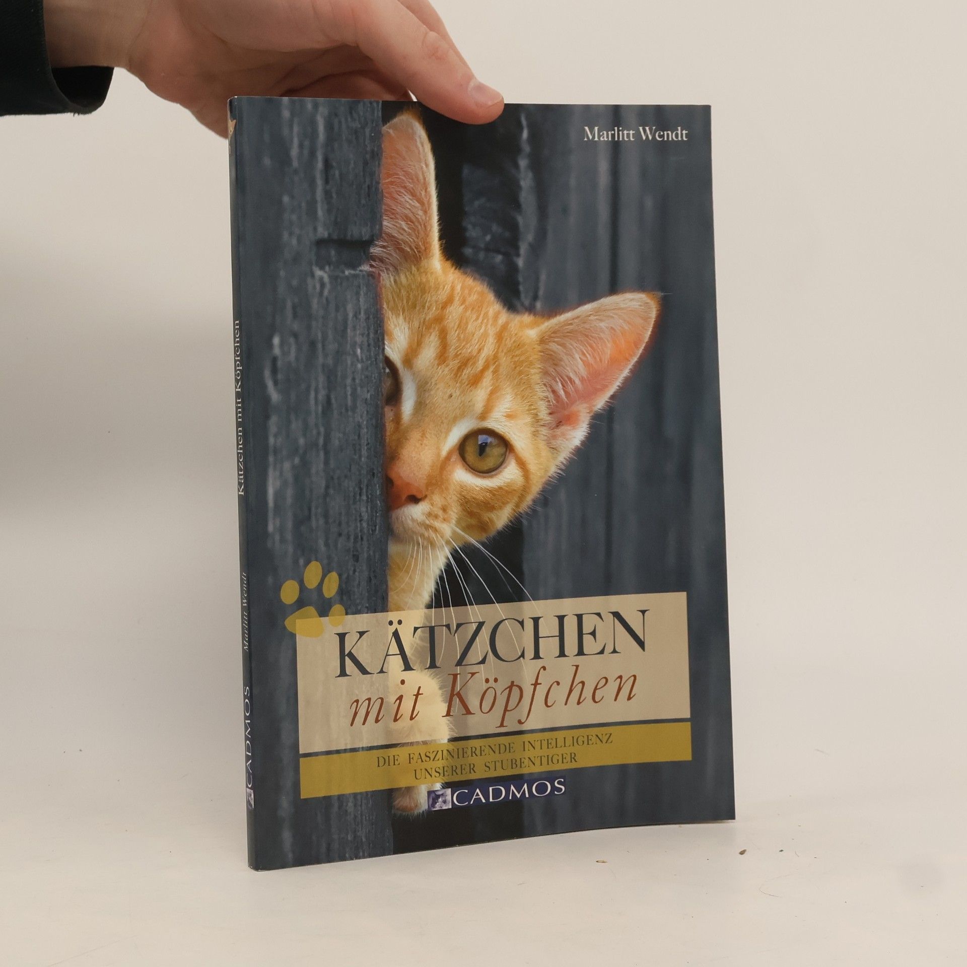 Marlitt Wendt Kätzchen mit Köpfchen
