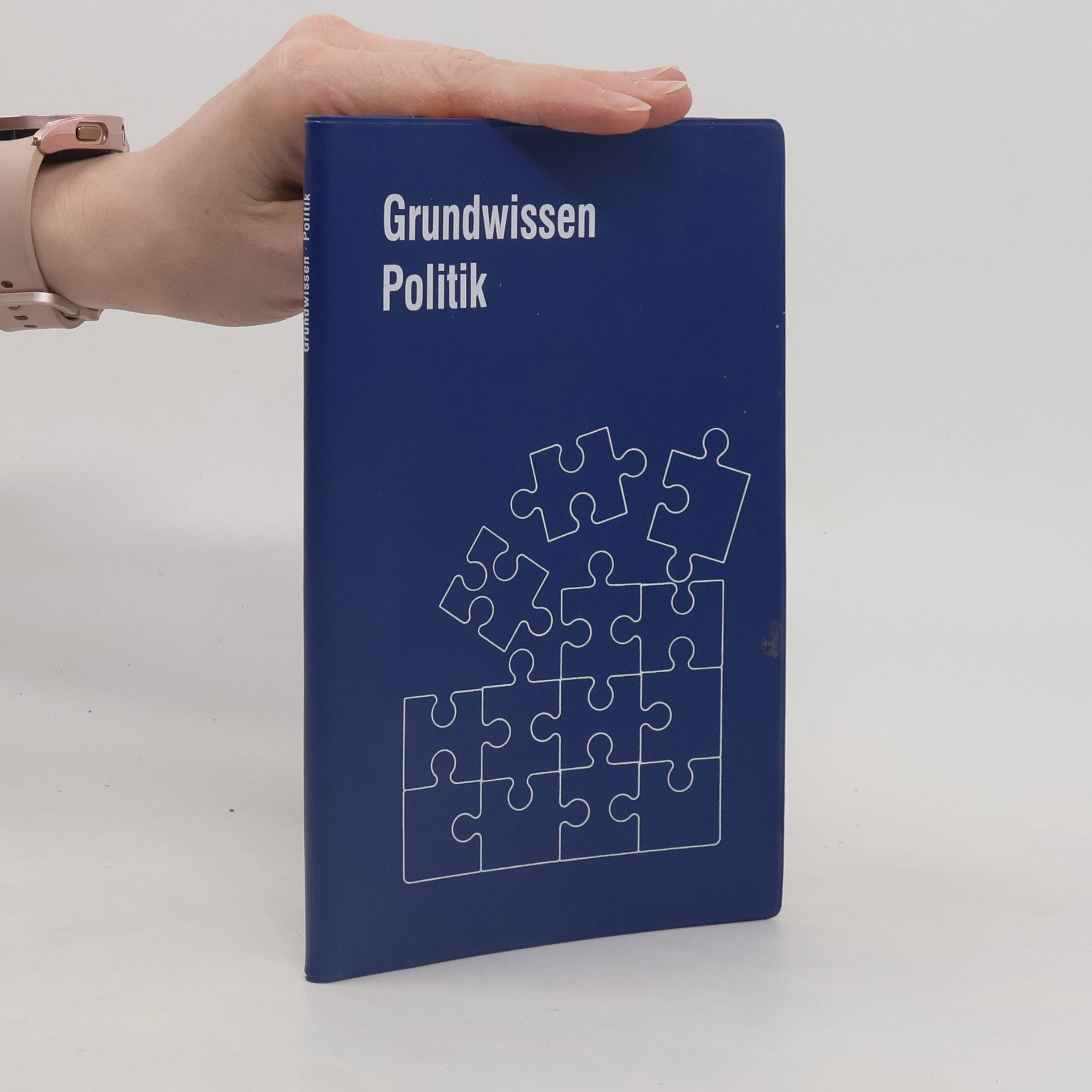 Collectif d'auteurs Grundwissen Politik