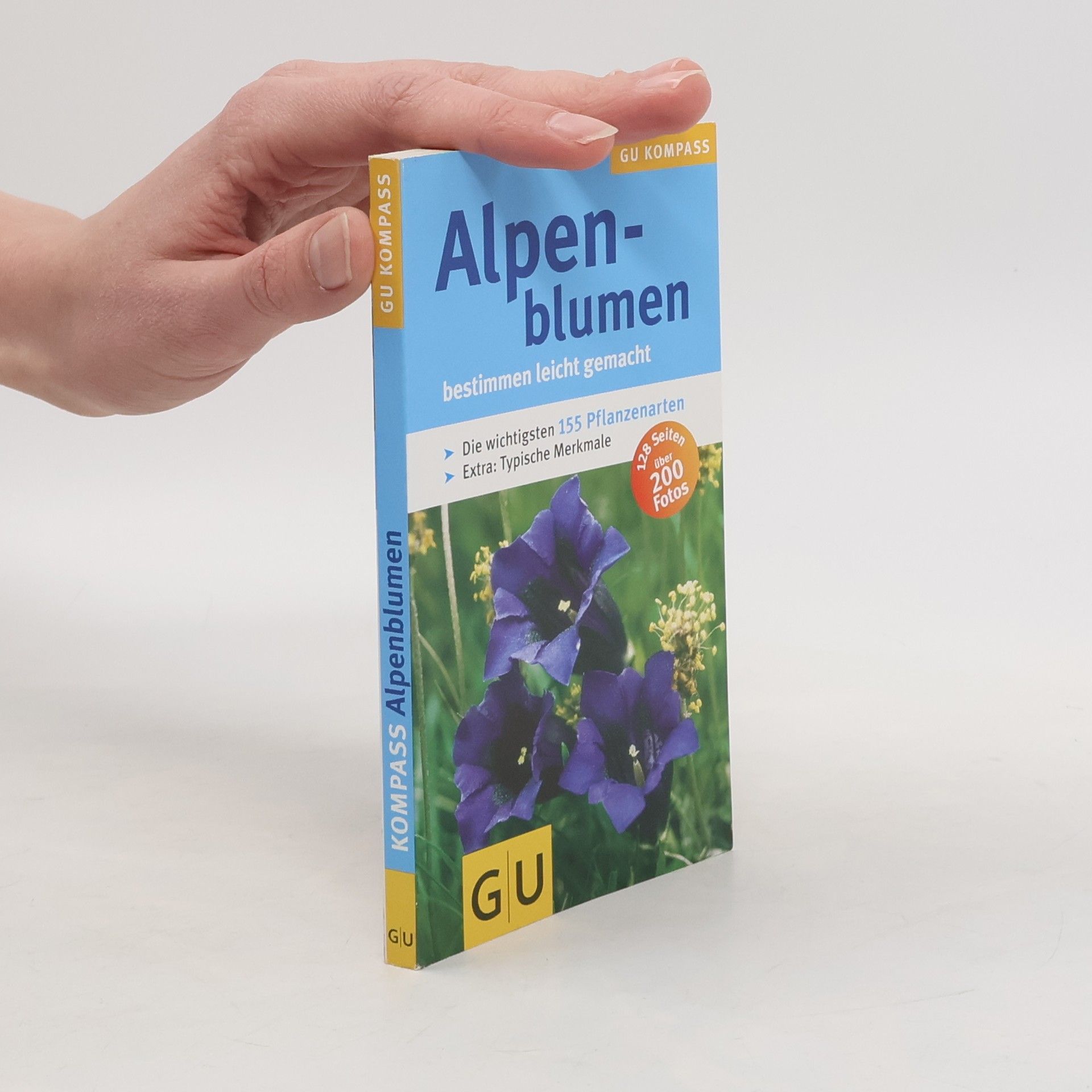 Helga Hofmann-Sieber Alpenblumen