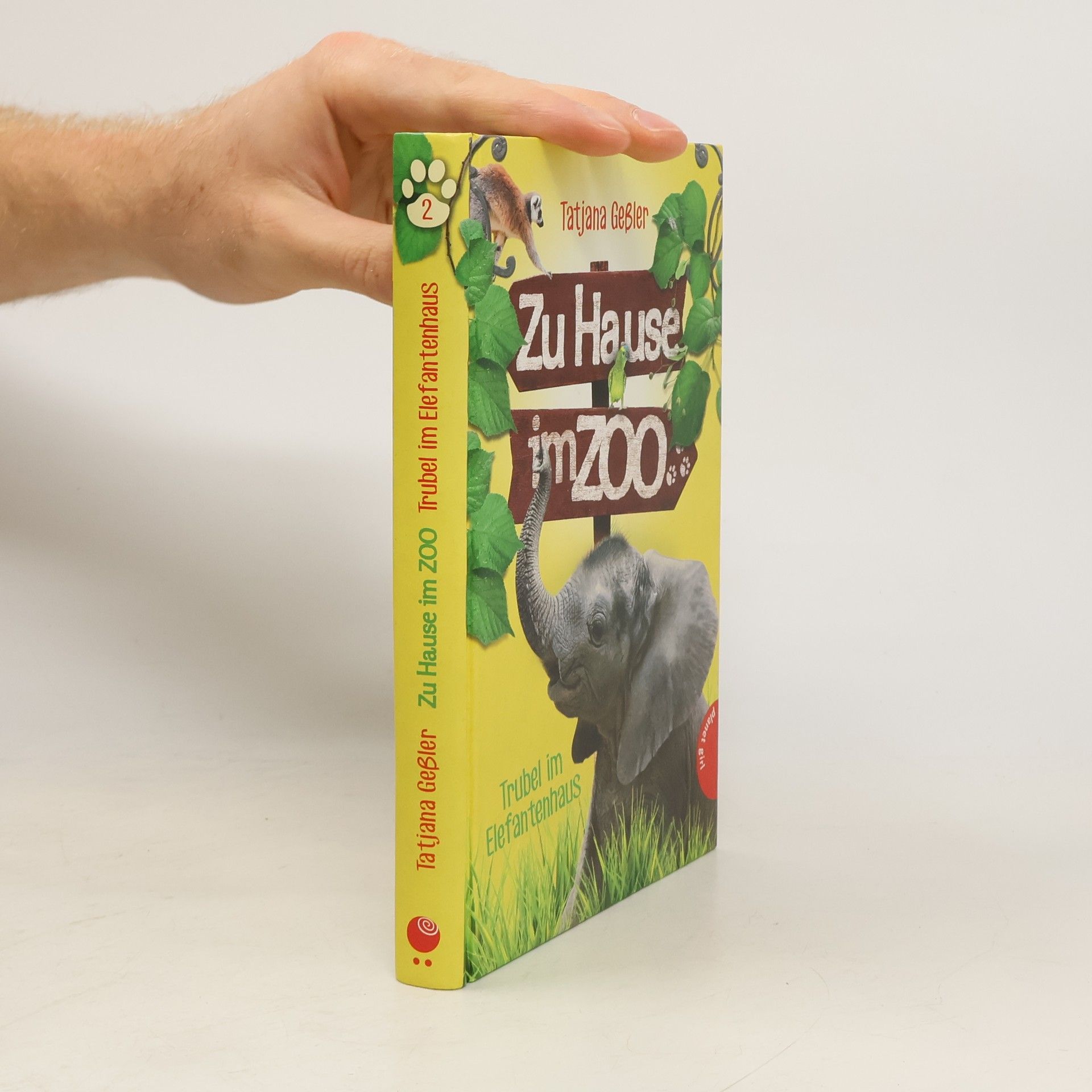 Zu Hause im Zoo: Trubel im Elefantenhaus