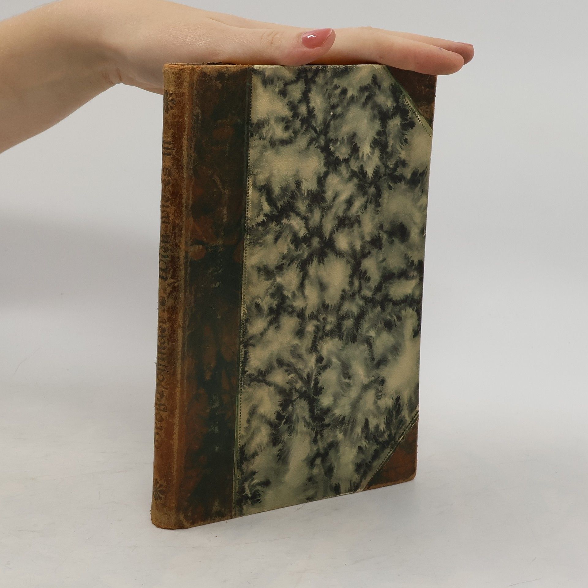 A. J. Groß-Hoffinger Wien wie es ist