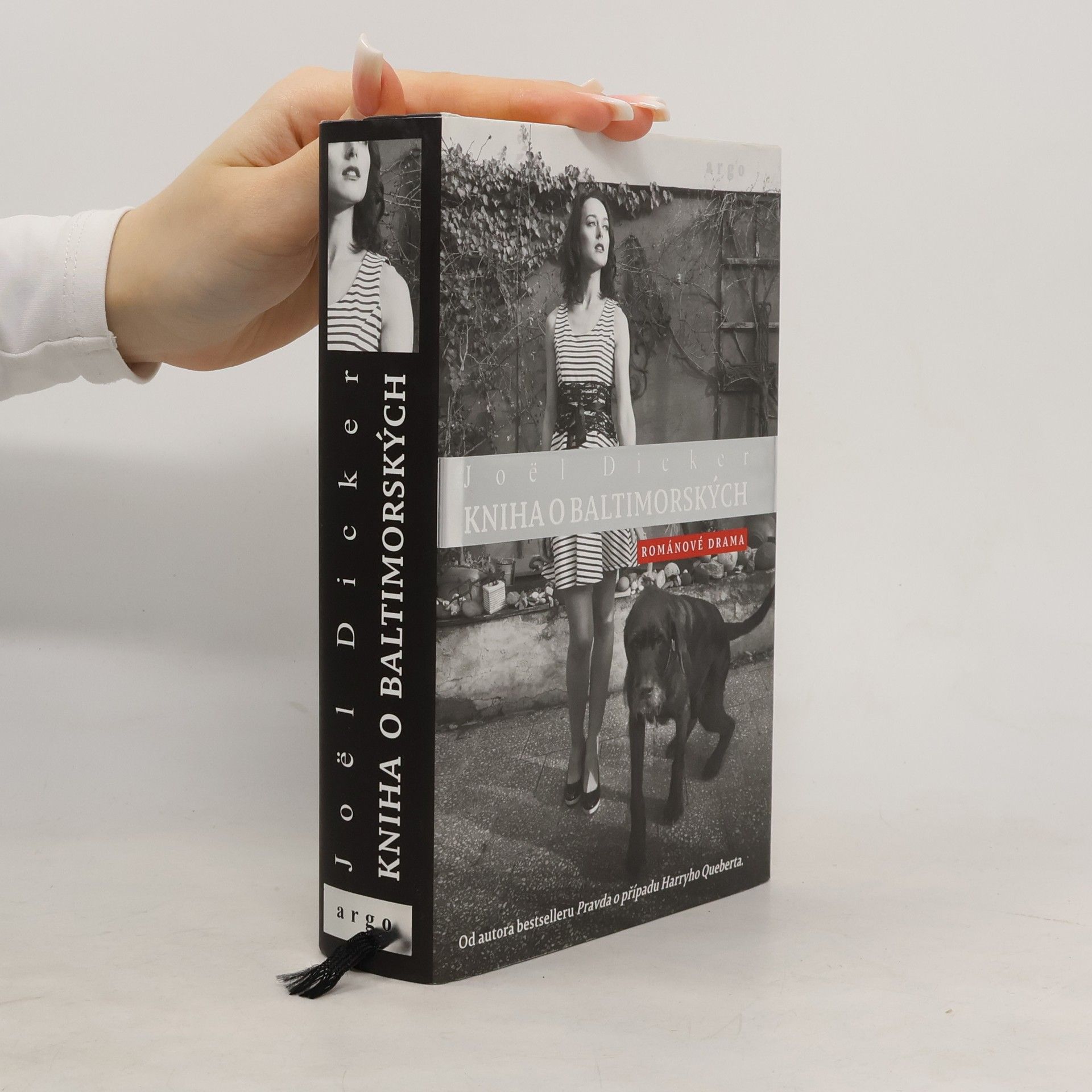 Joël Dicker Kniha o Baltimorských