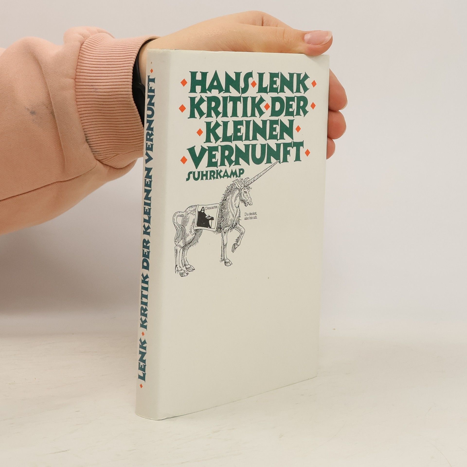 Hans Lenk Kritik der kleinen Vernunft