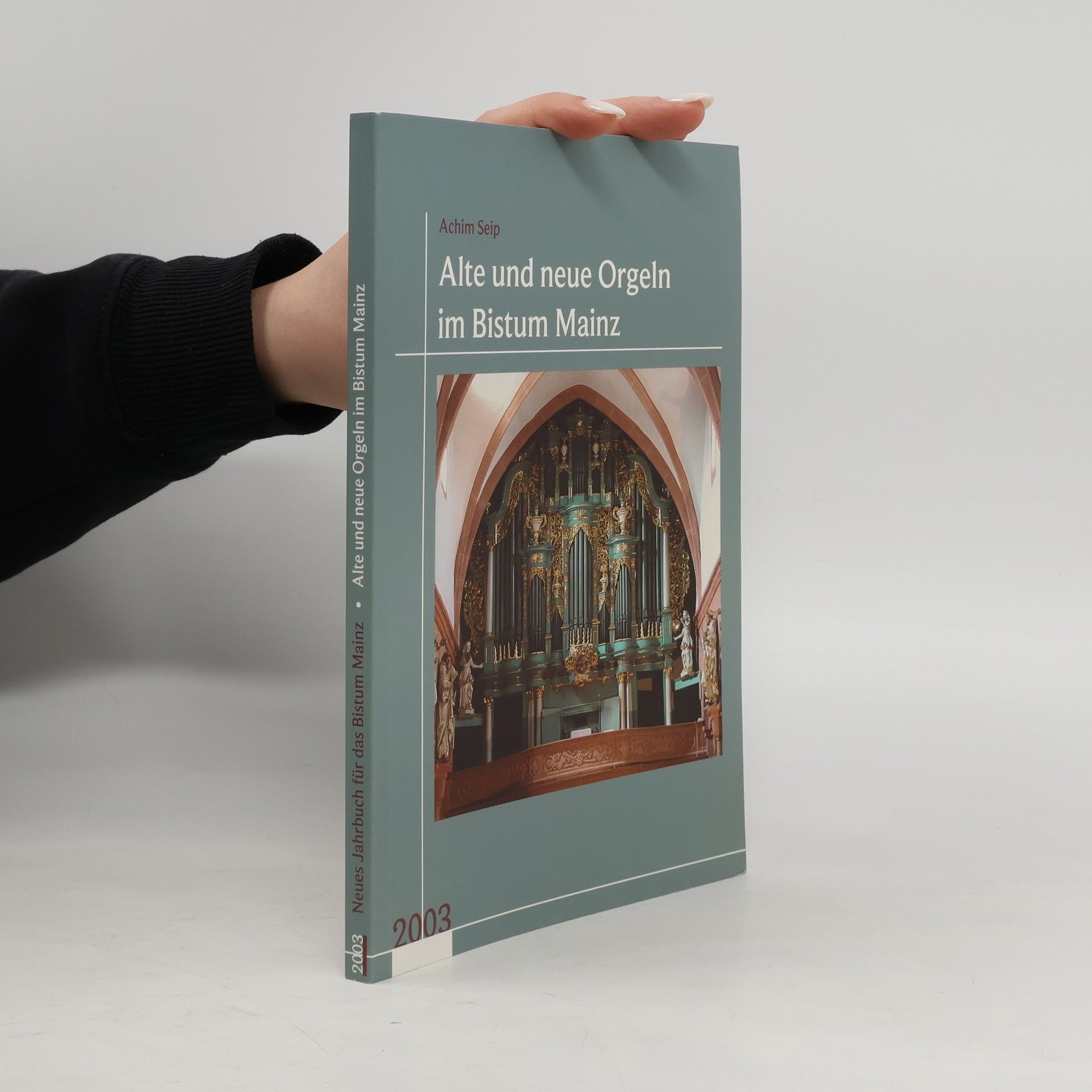 Achim Seip Alte und neue Orgeln im Bistum Mainz