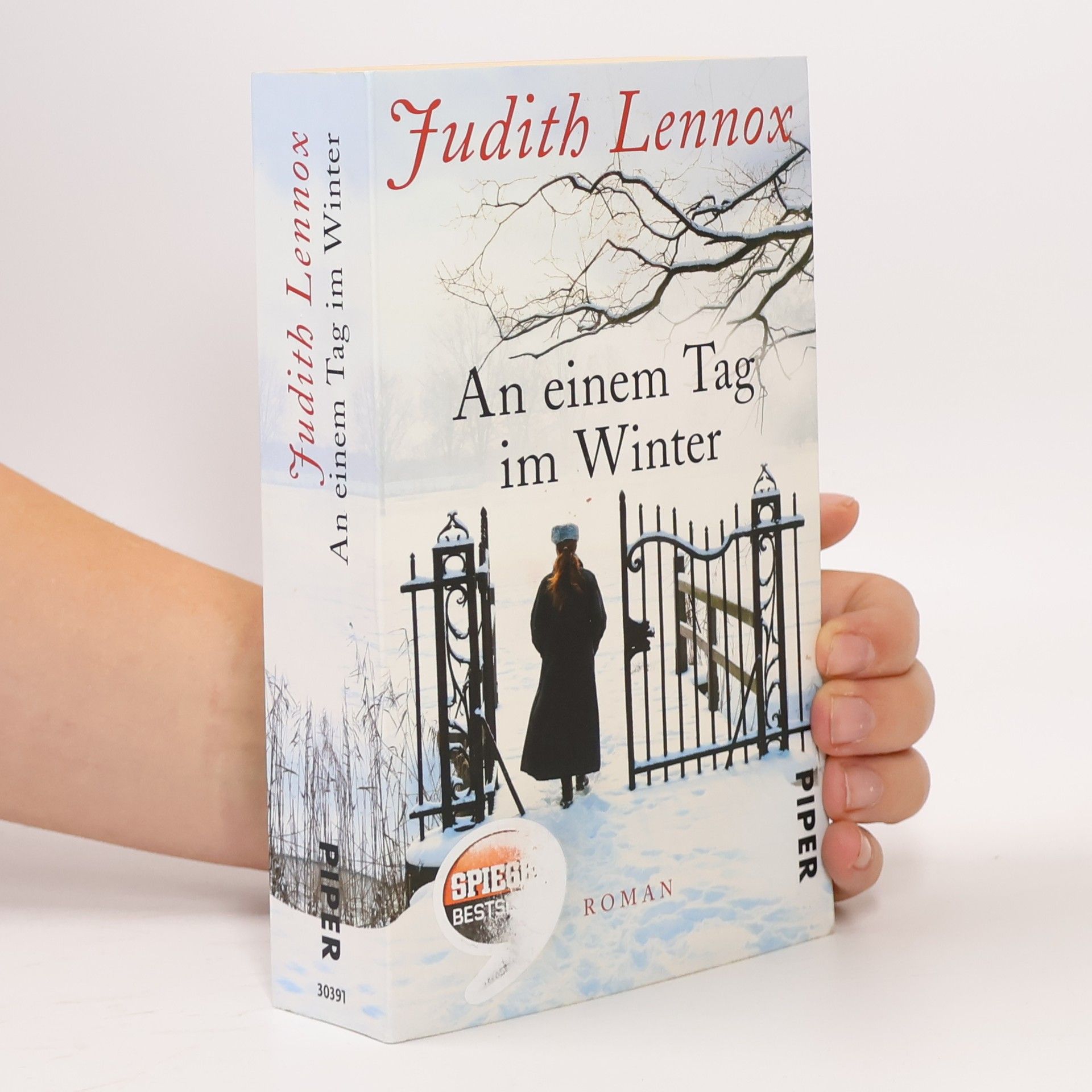 Judith Lennox An einem Tag im Winter